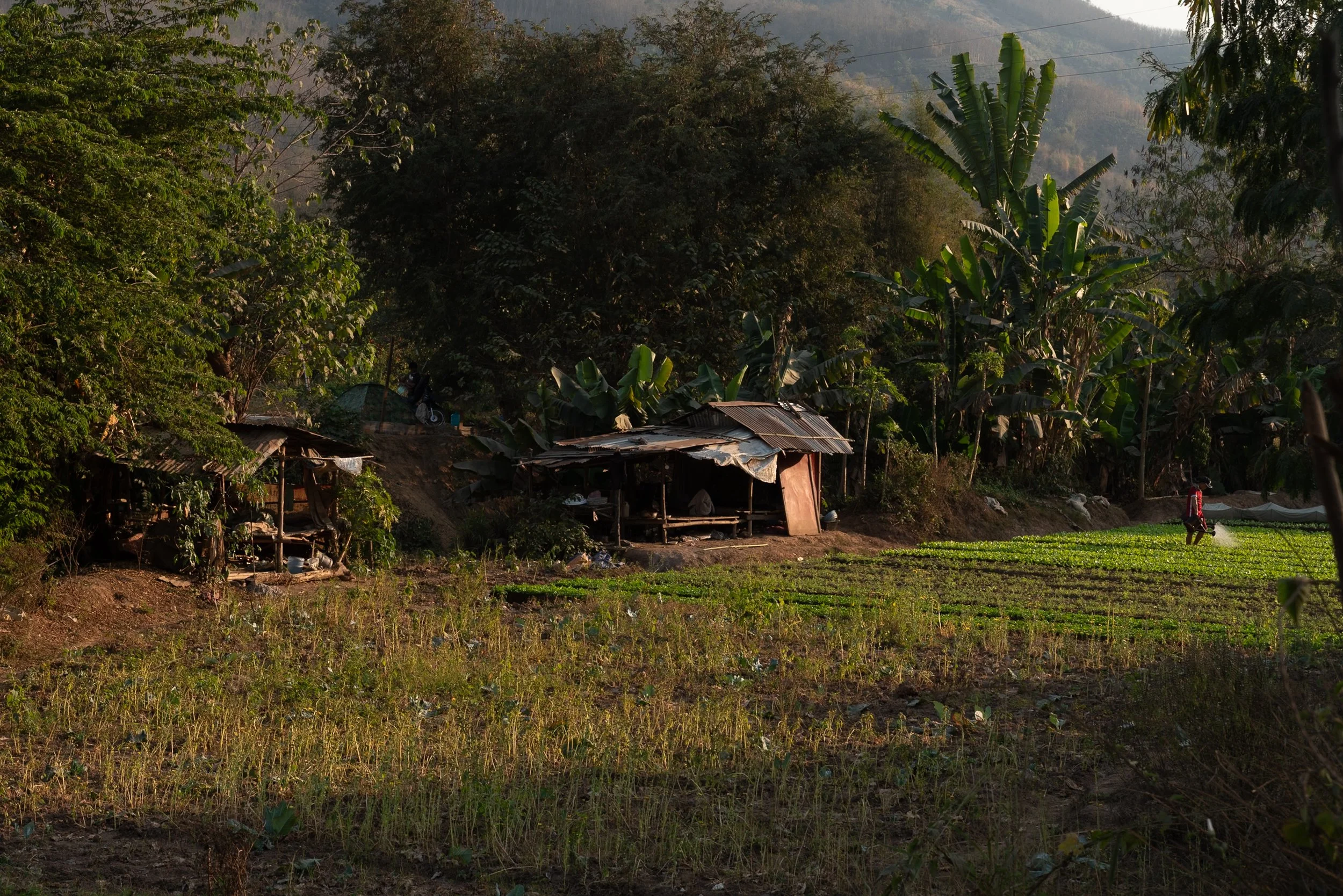 web_export _DSC2582.jpg