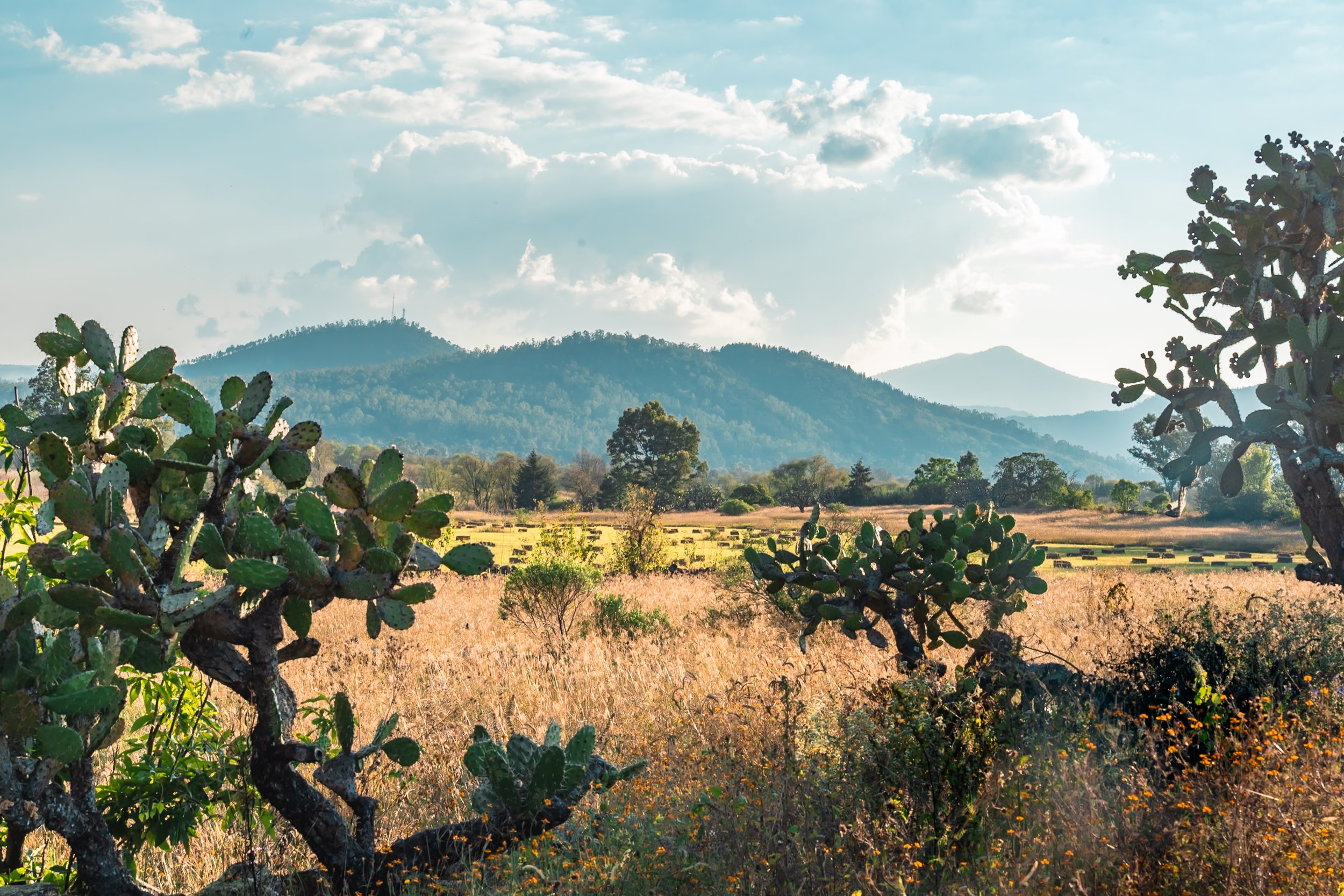 web_export DSC06868-2.jpg