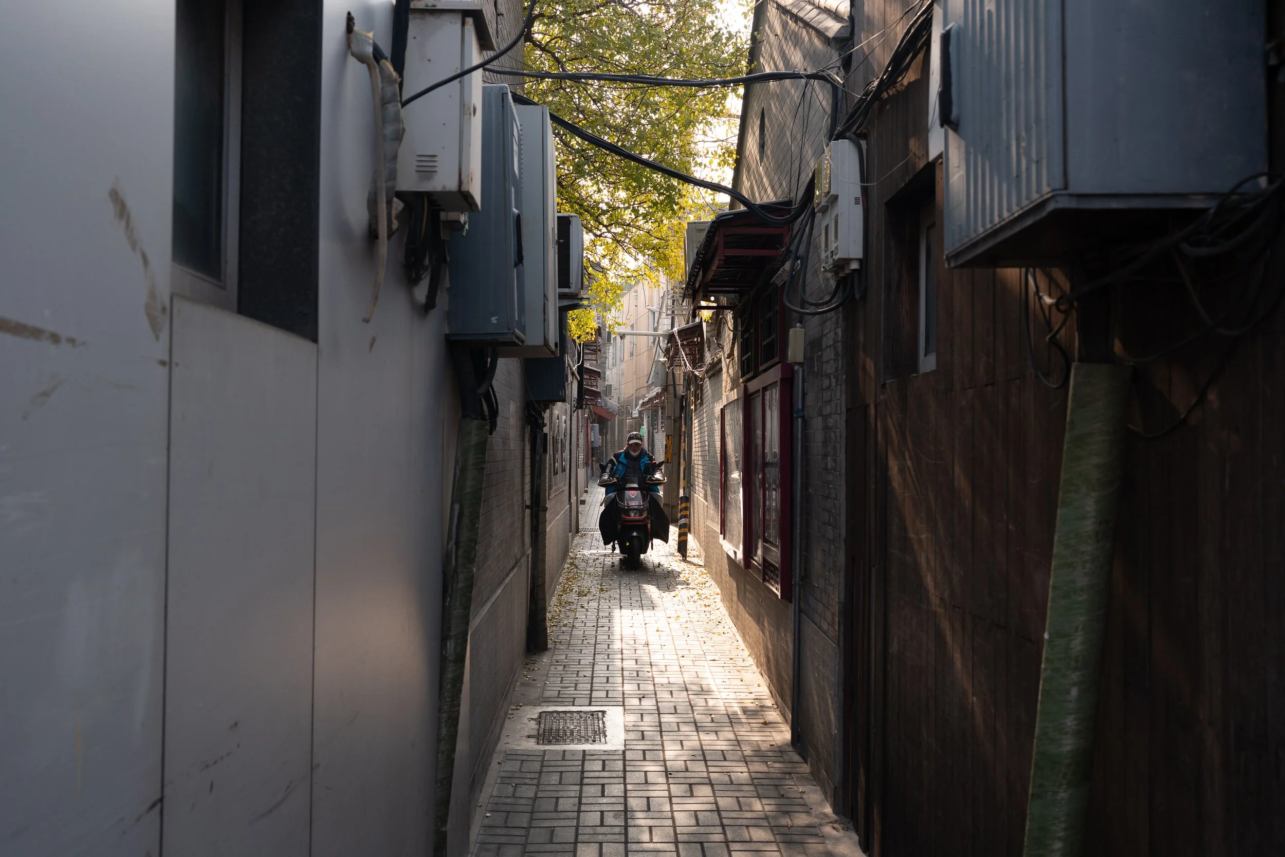 web_export _DSC6221.jpg