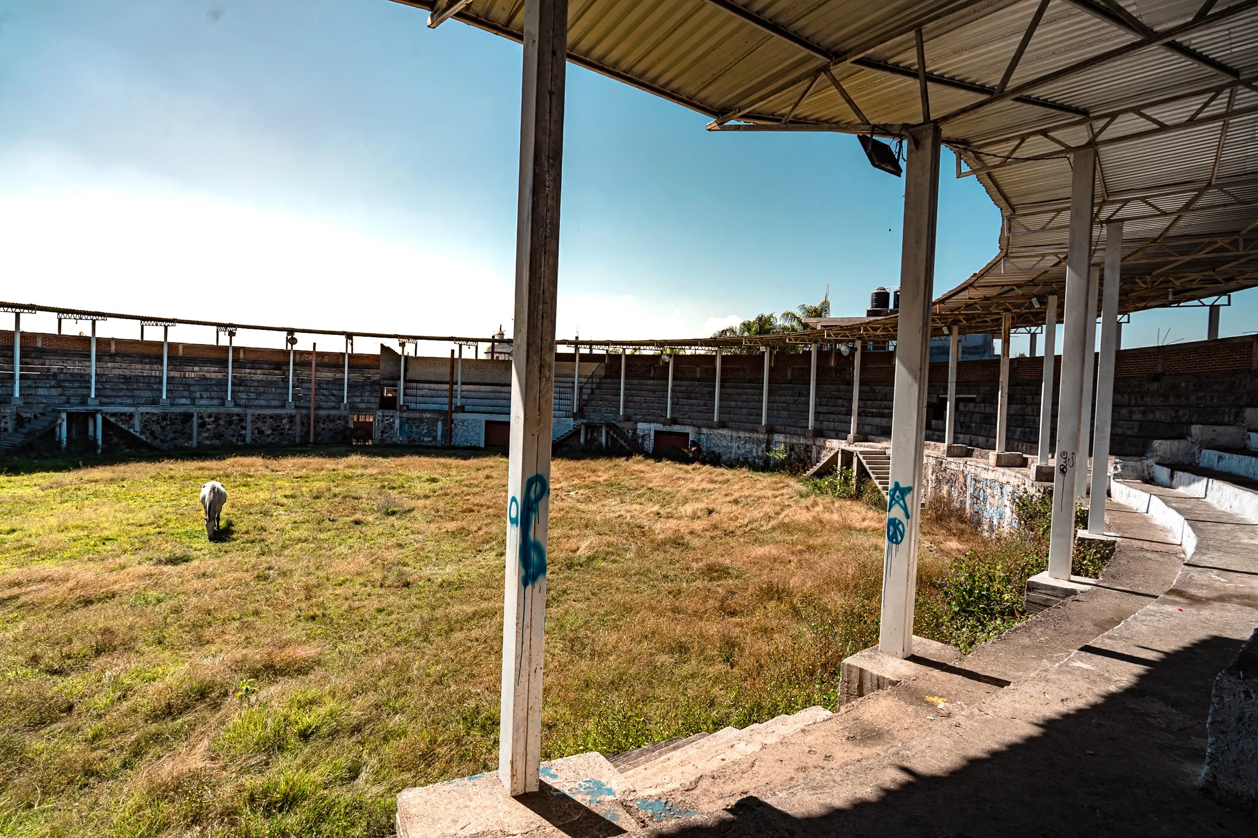 web_export DSC07141.jpg