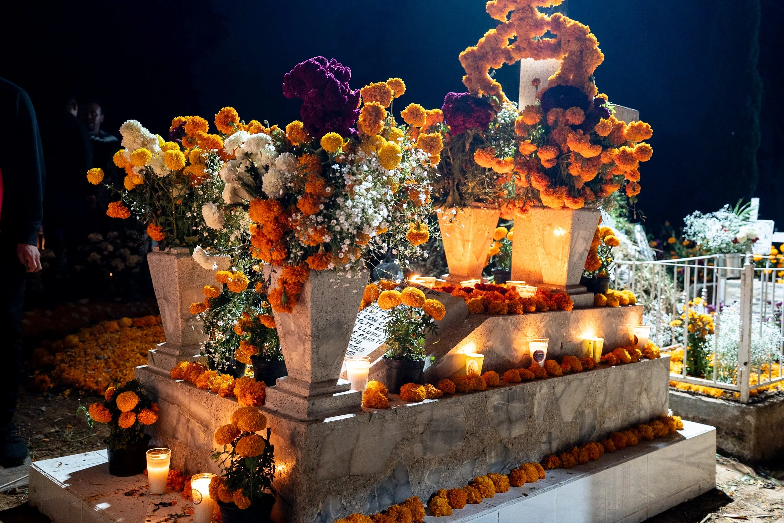 web_export DSC06470.jpg