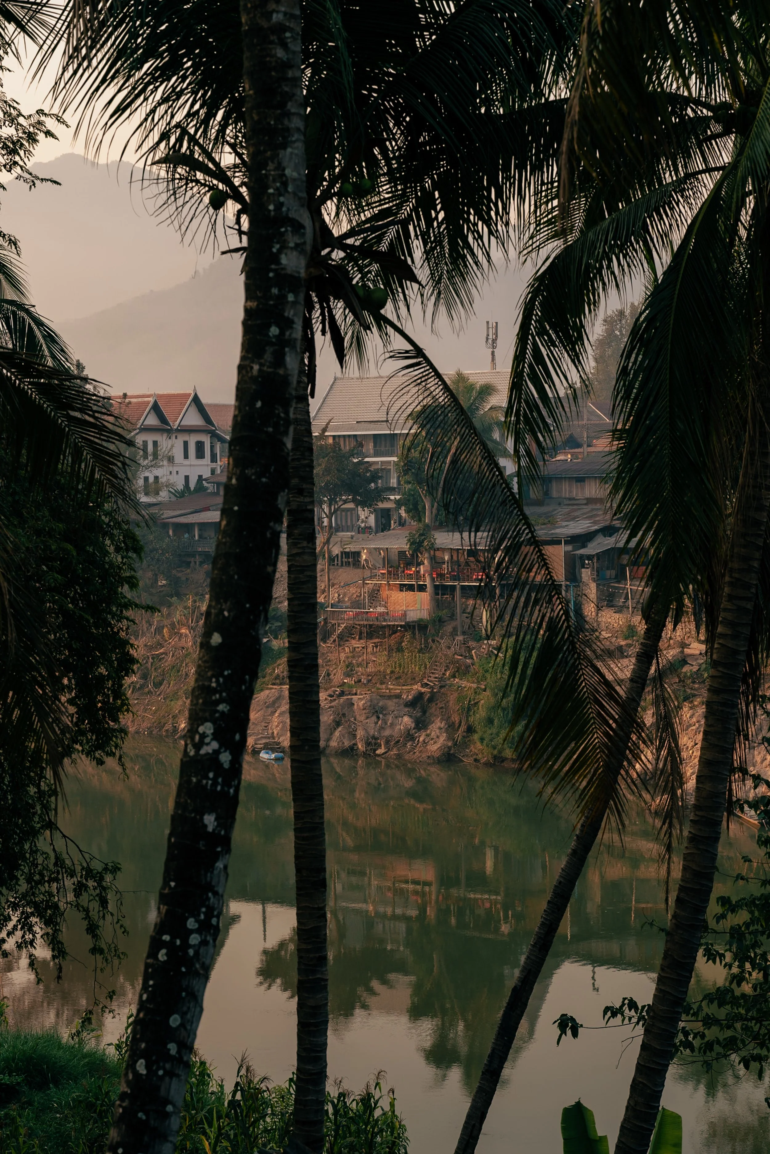 web_export _DSC2804-2.jpg