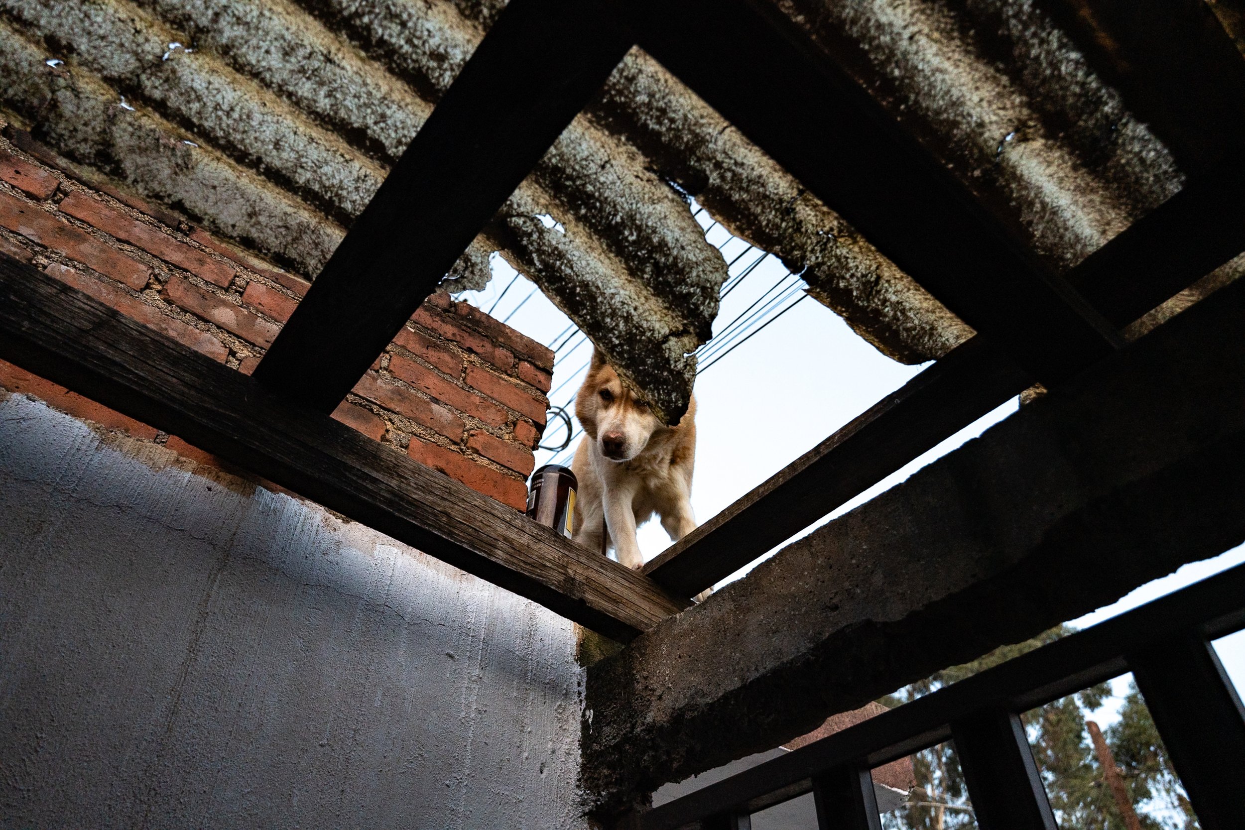 web_export DSC09287.jpg