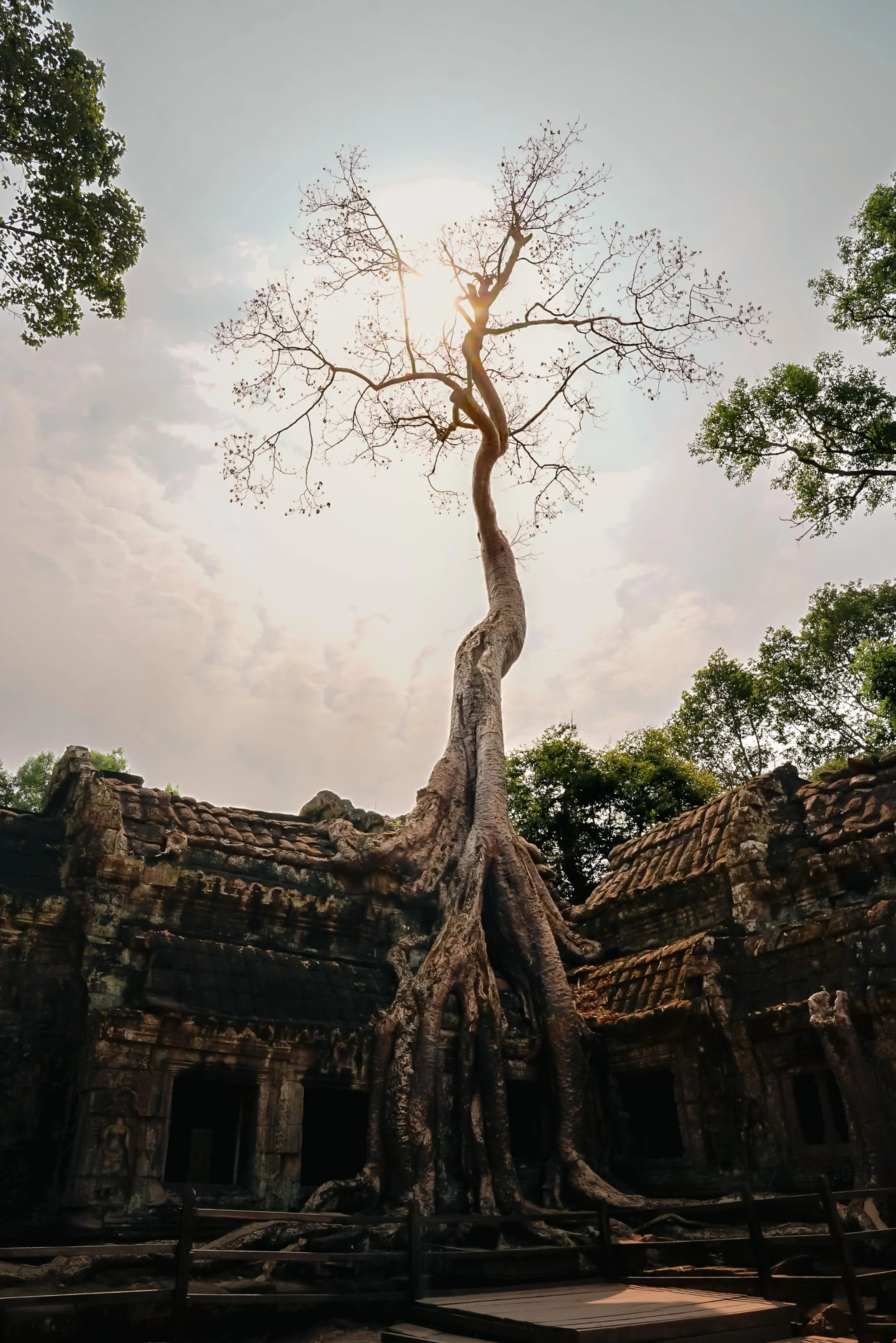 web -26_DSC7261-2.jpg