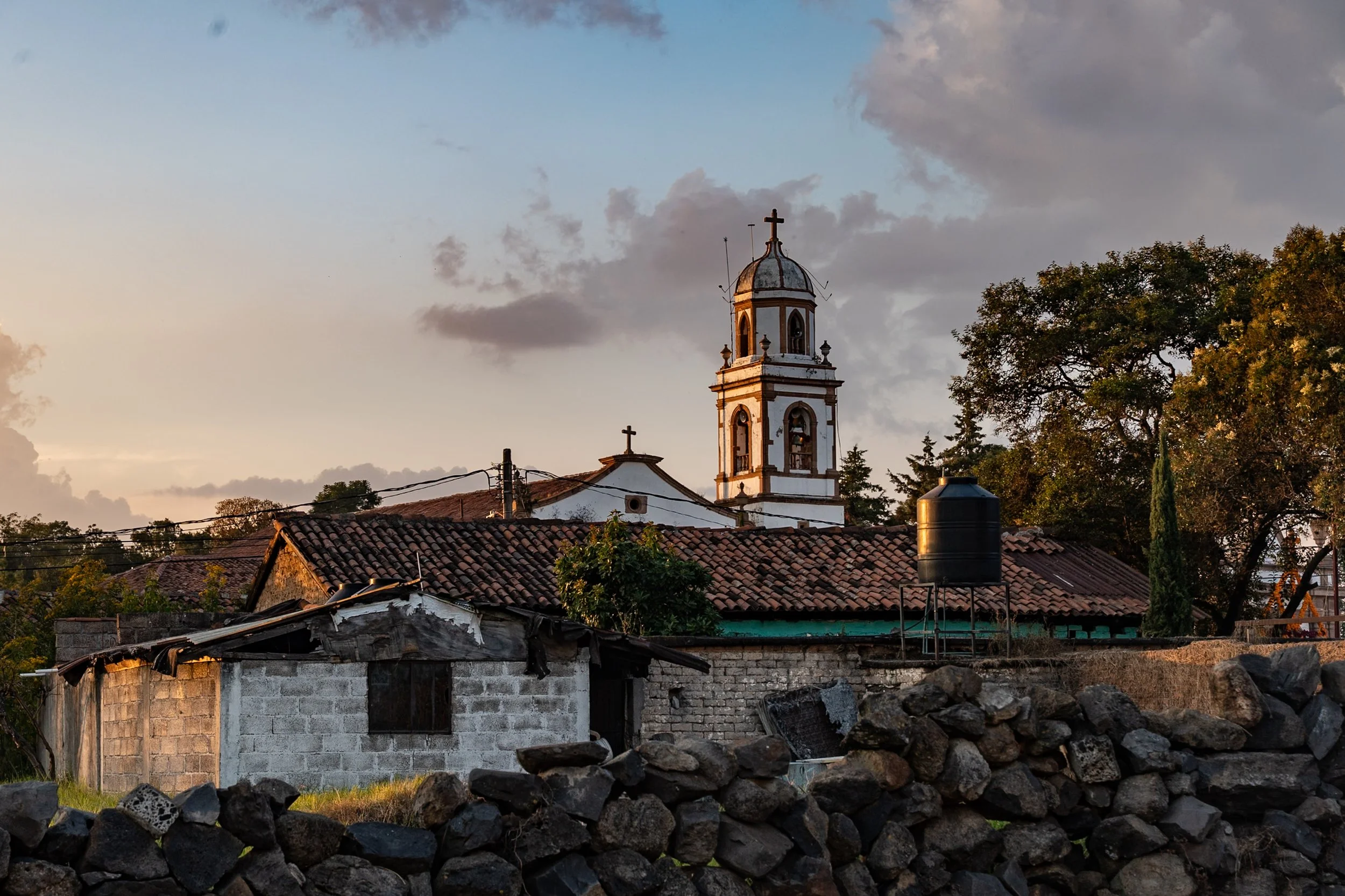 web_export DSC06370.jpg