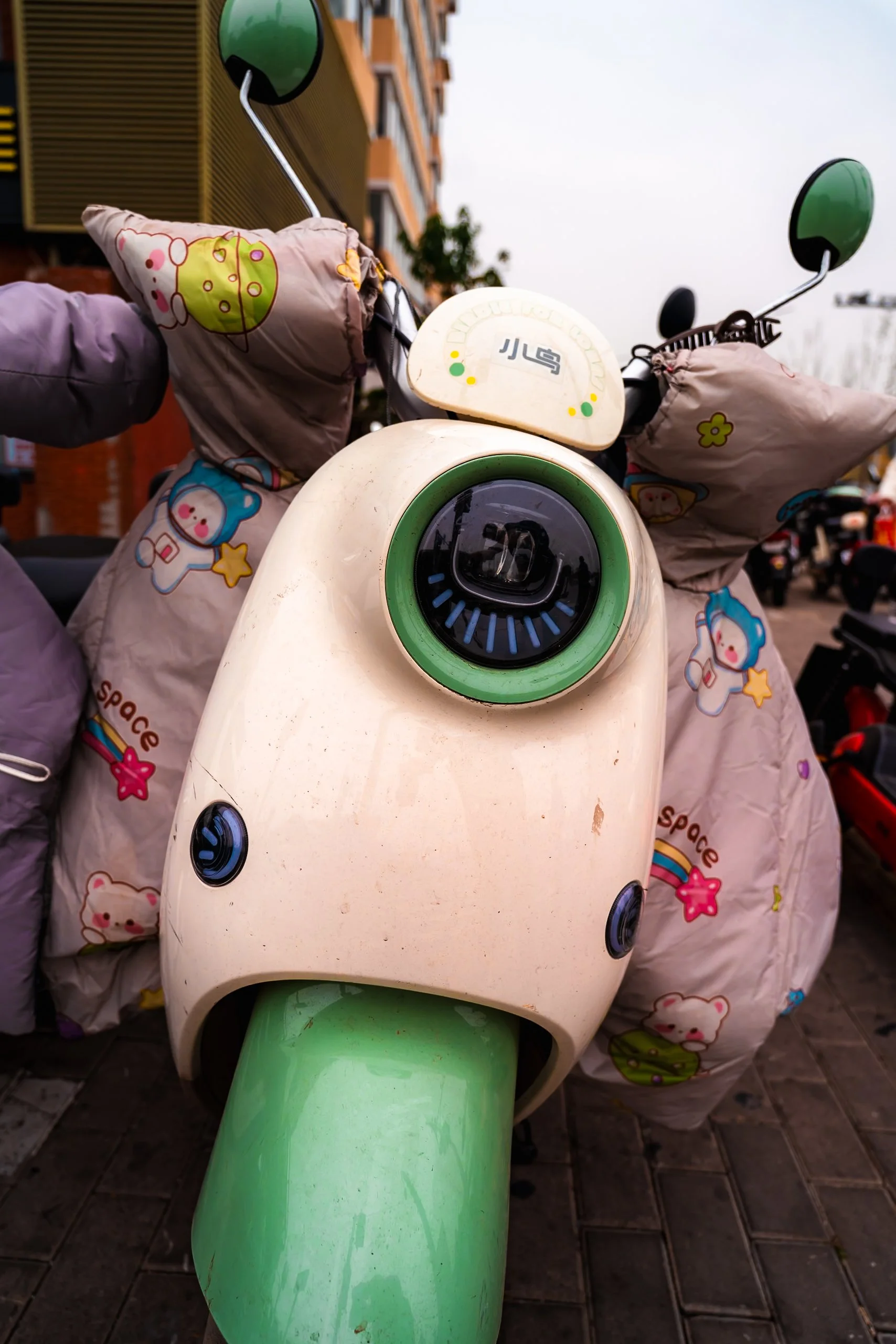 web_export _DSC5752.jpg