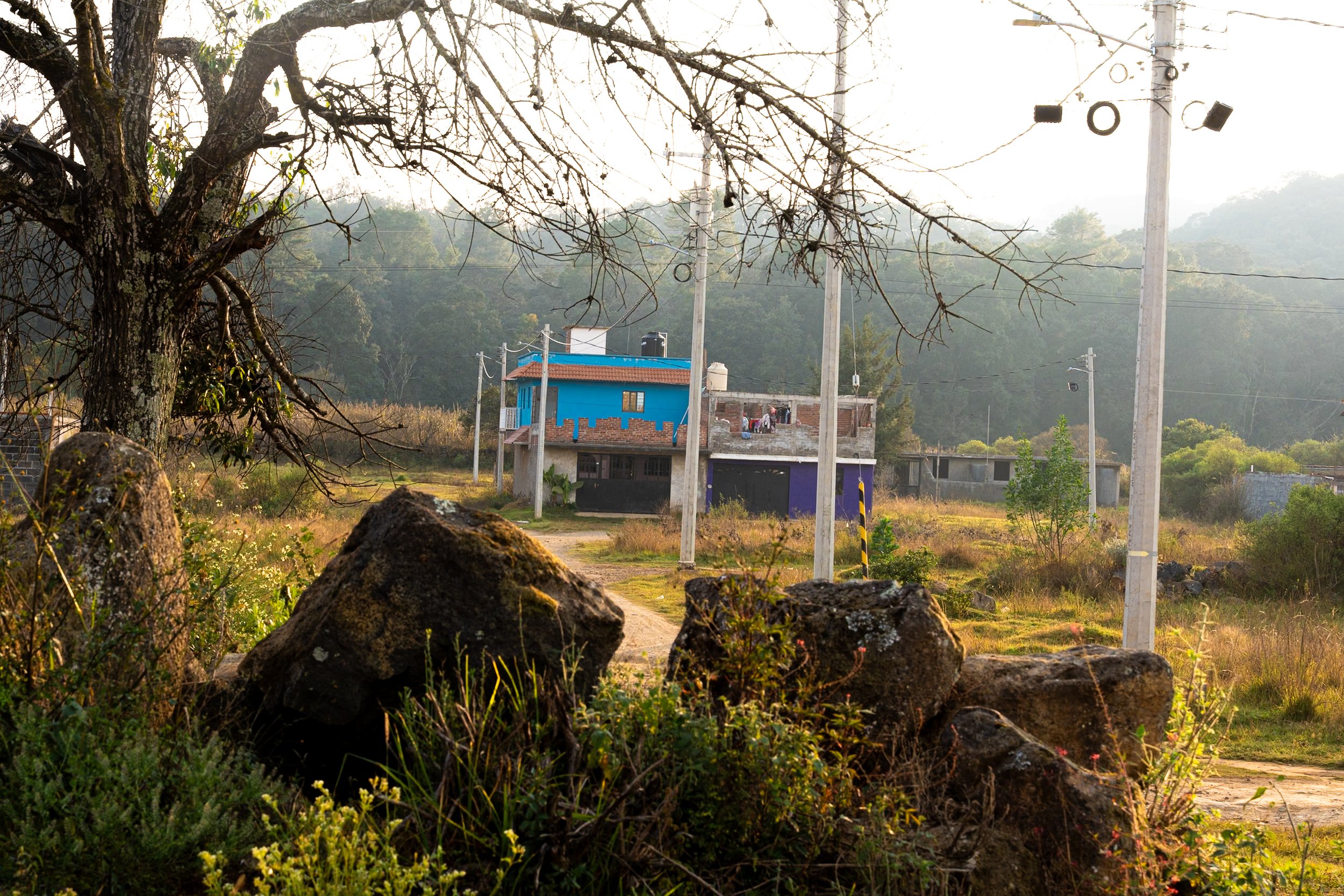 web_export _DSC0914.jpg