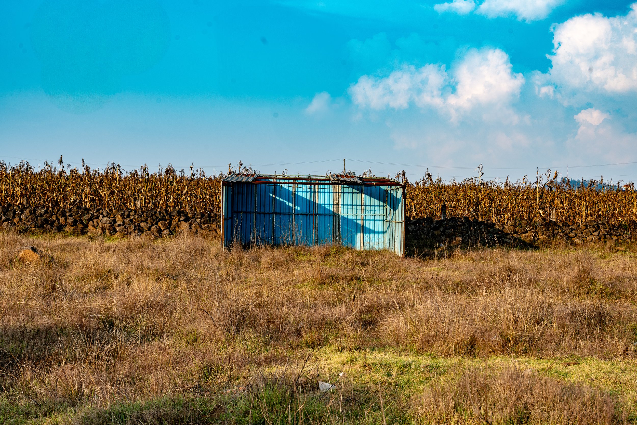 web_export _DSC0901.jpg