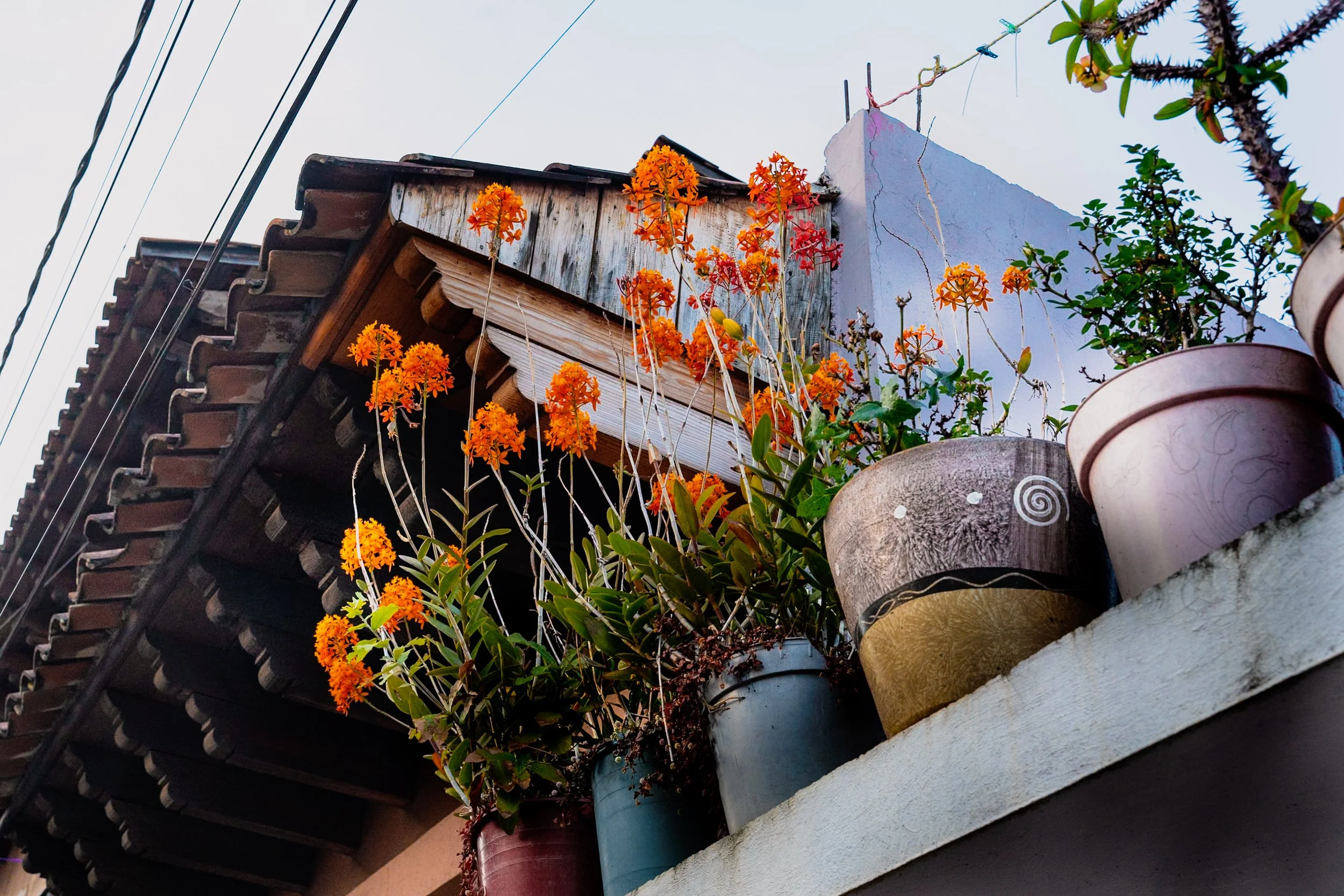 web_export _DSC2446.jpg