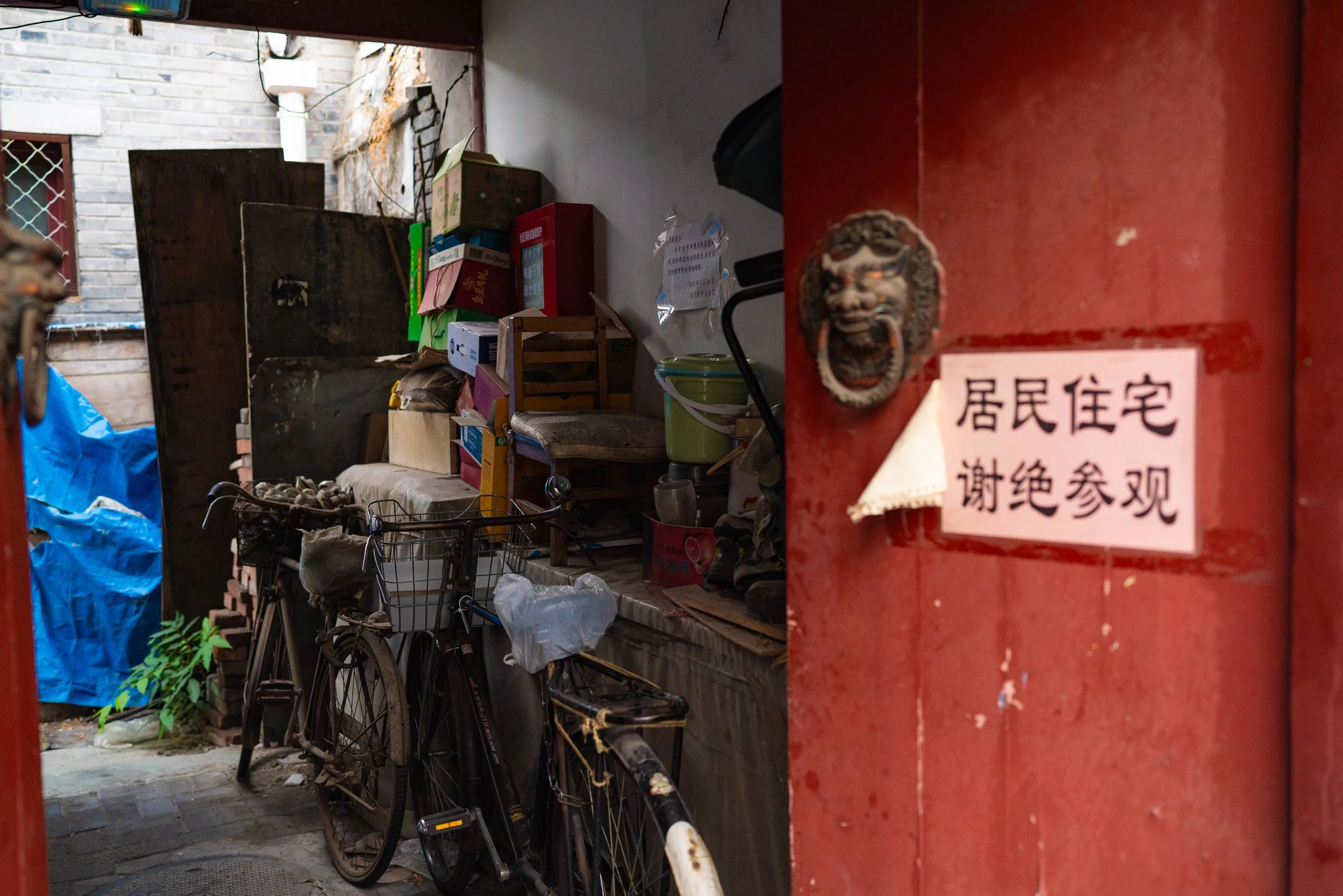 web_export _DSC6140.jpg