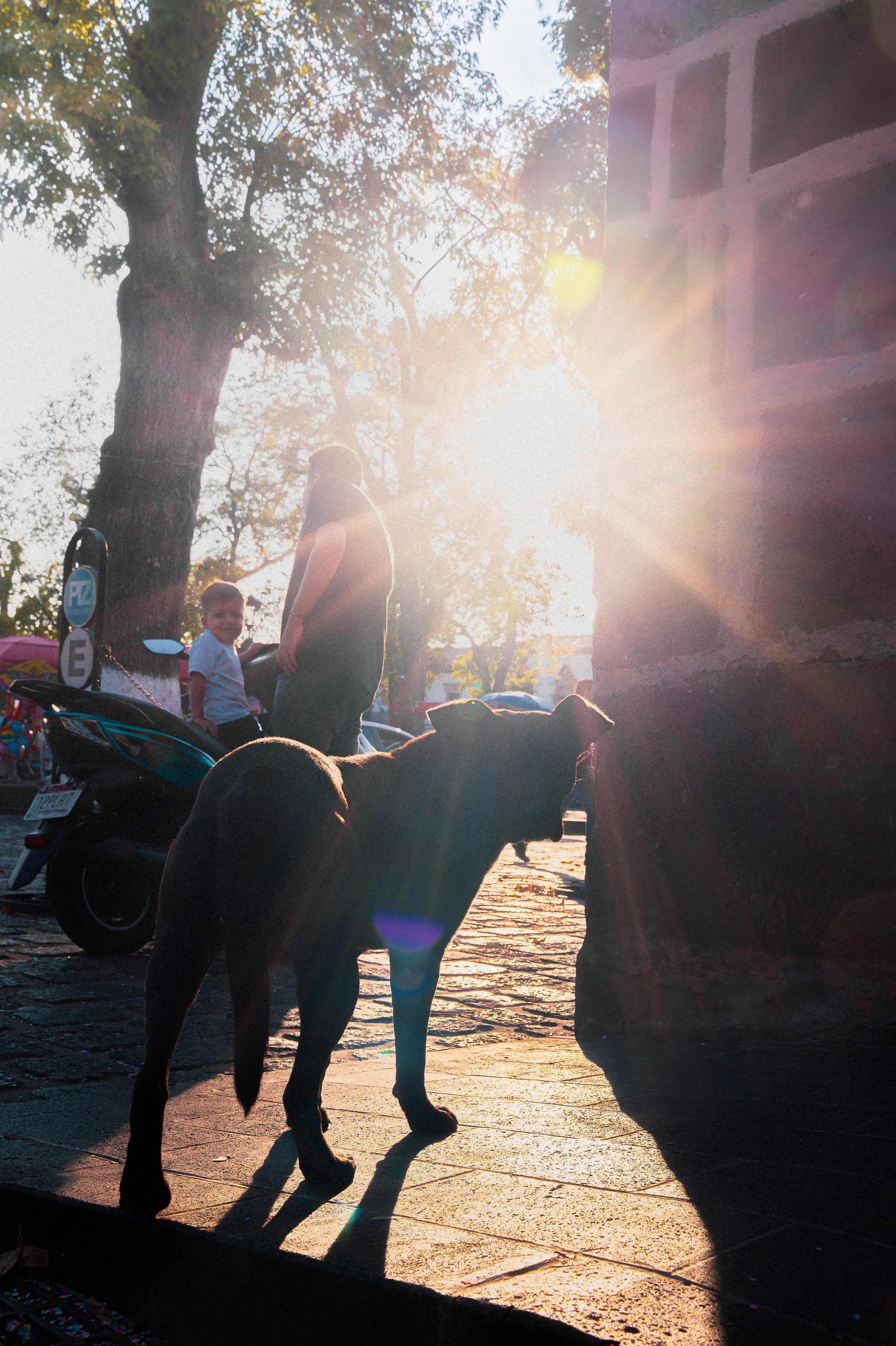 web_Patz DSC00729.jpg