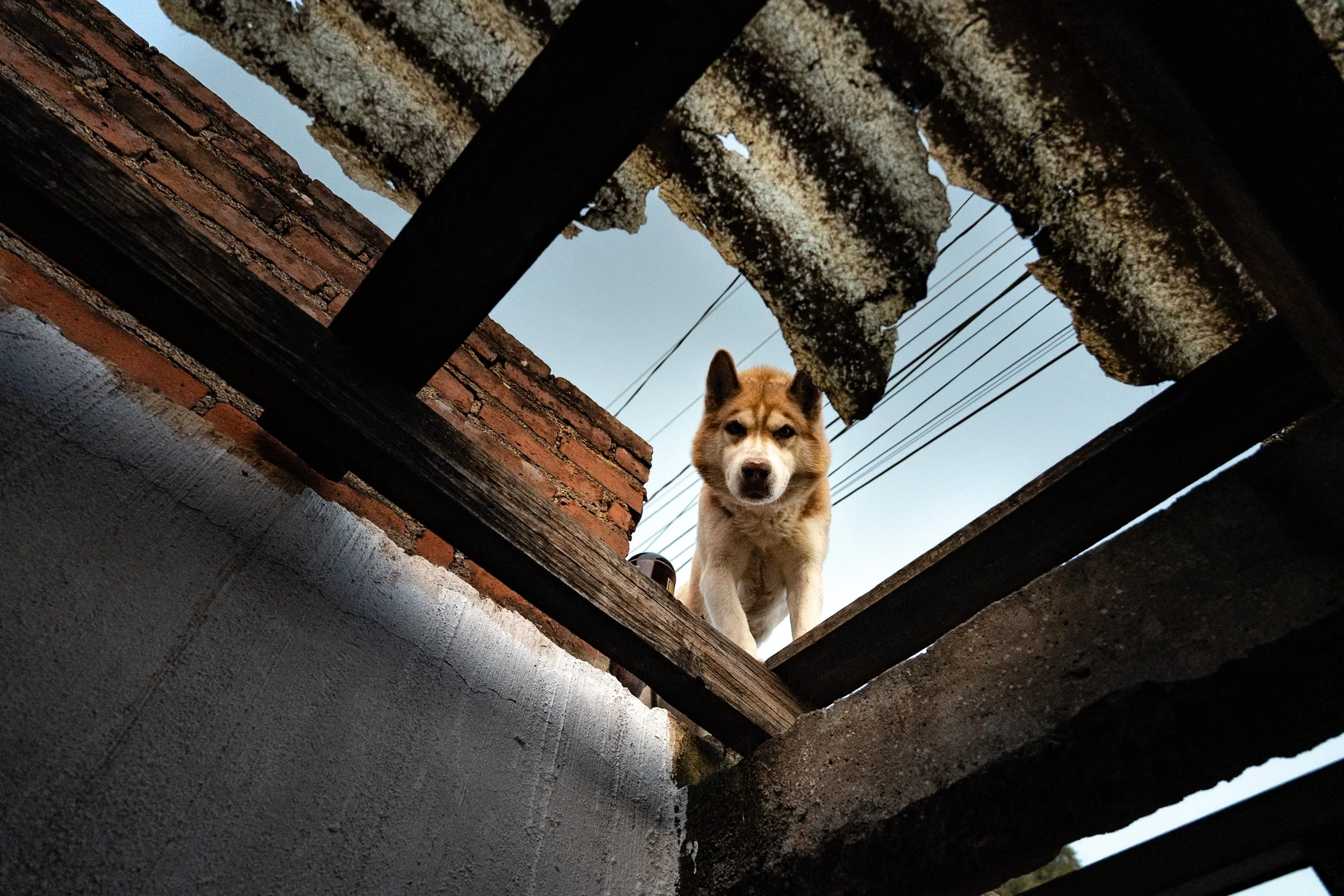 web_export DSC09288.jpg