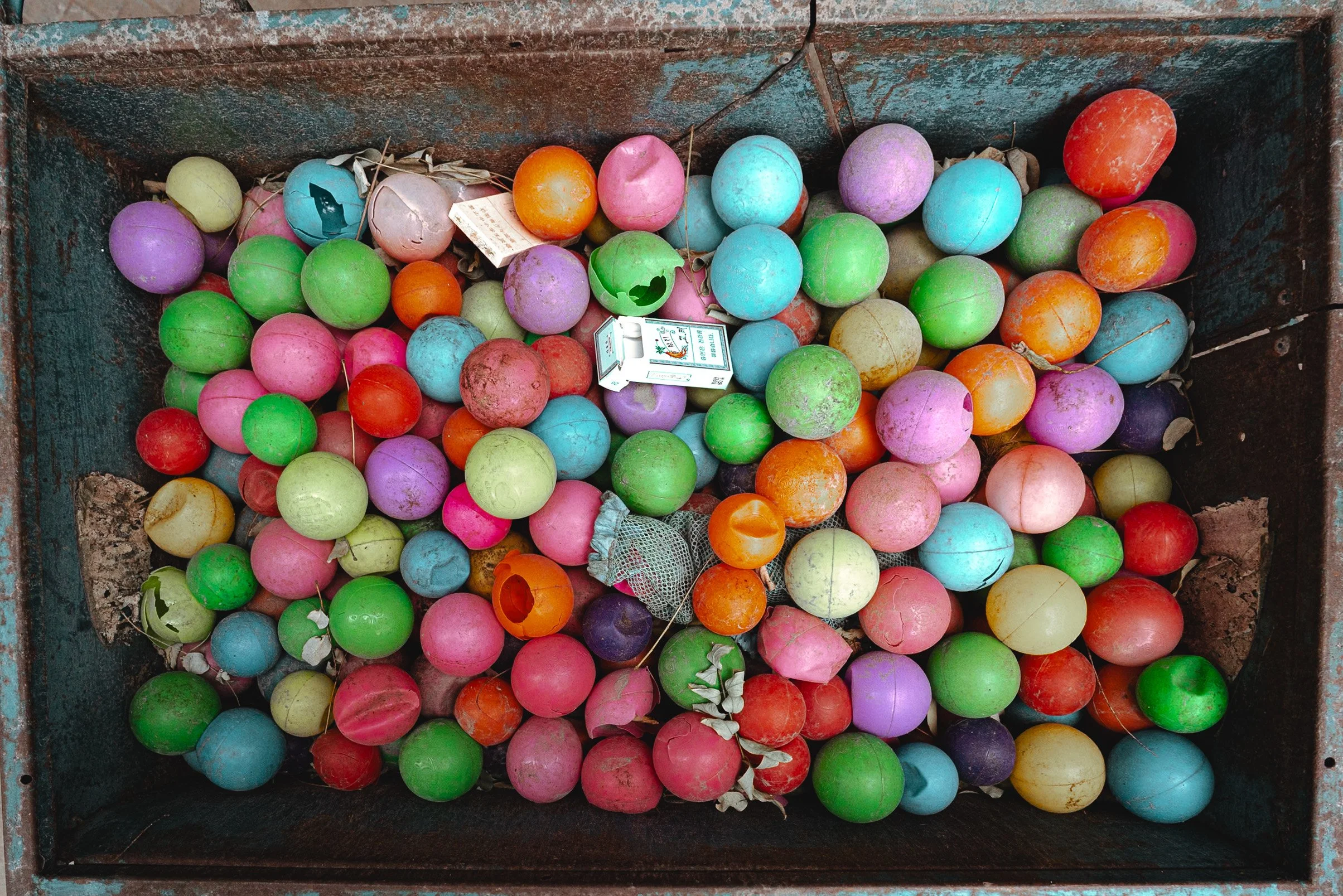 web_export _DSC5782.jpg