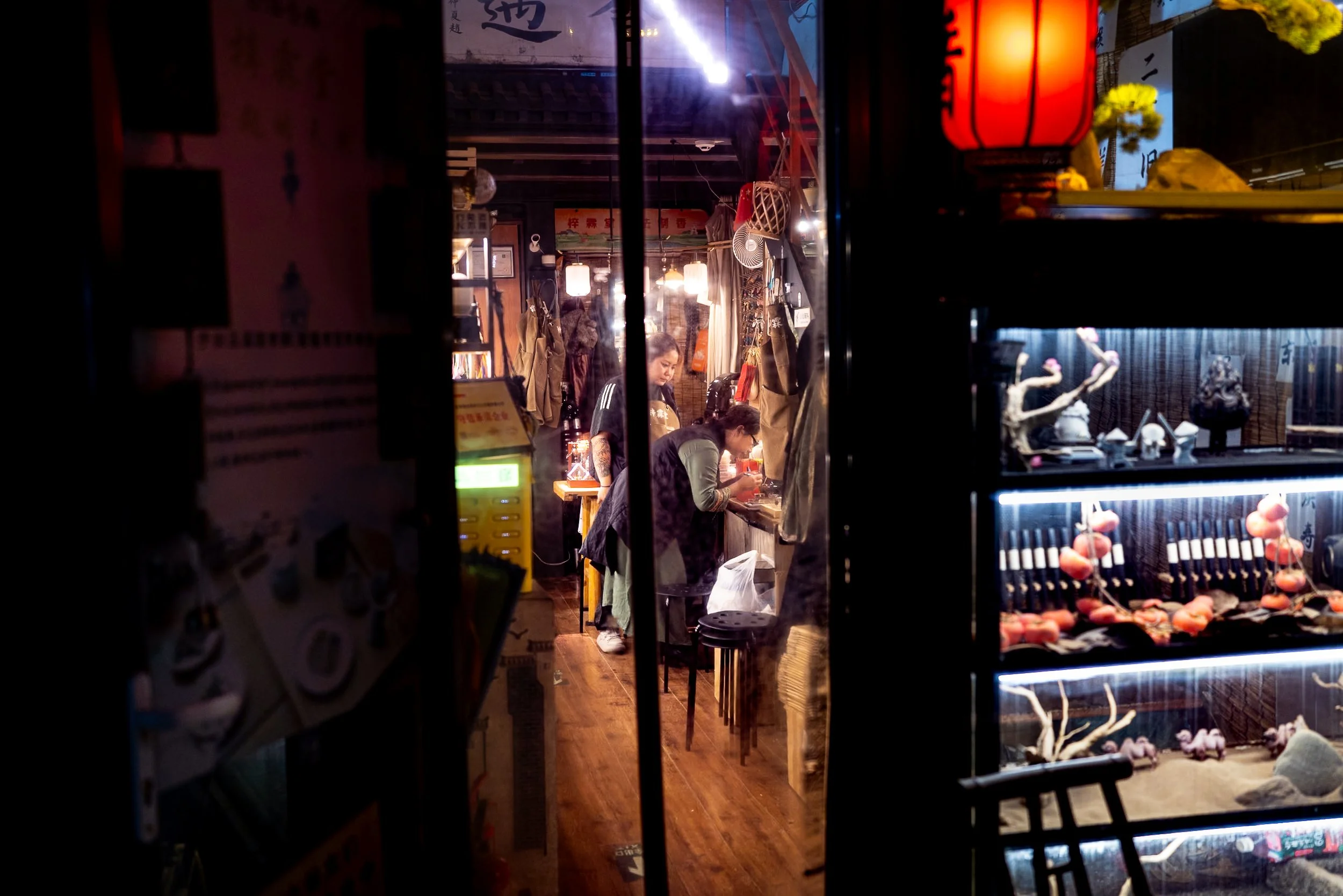 web_export _DSC5912.jpg