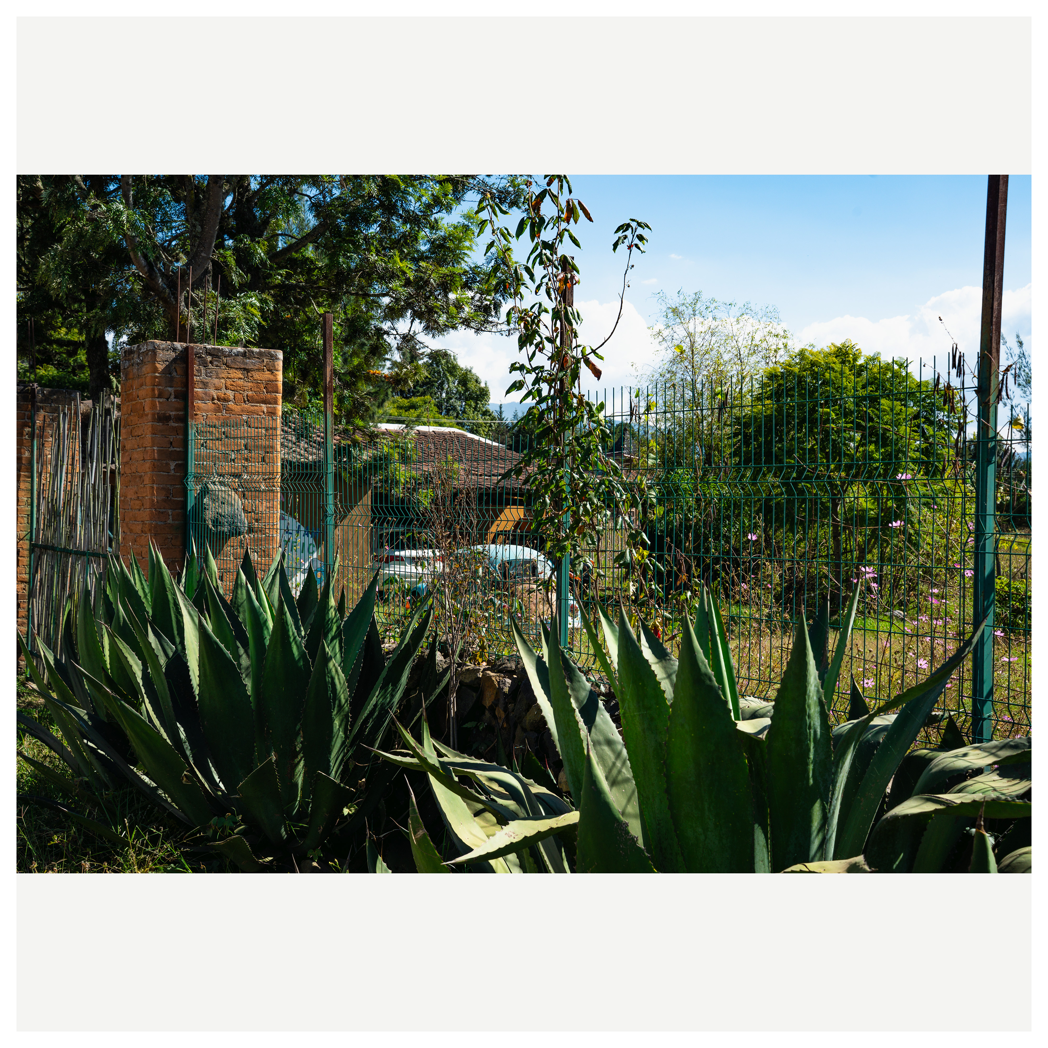 MX SUPERIOR - 134-1.png