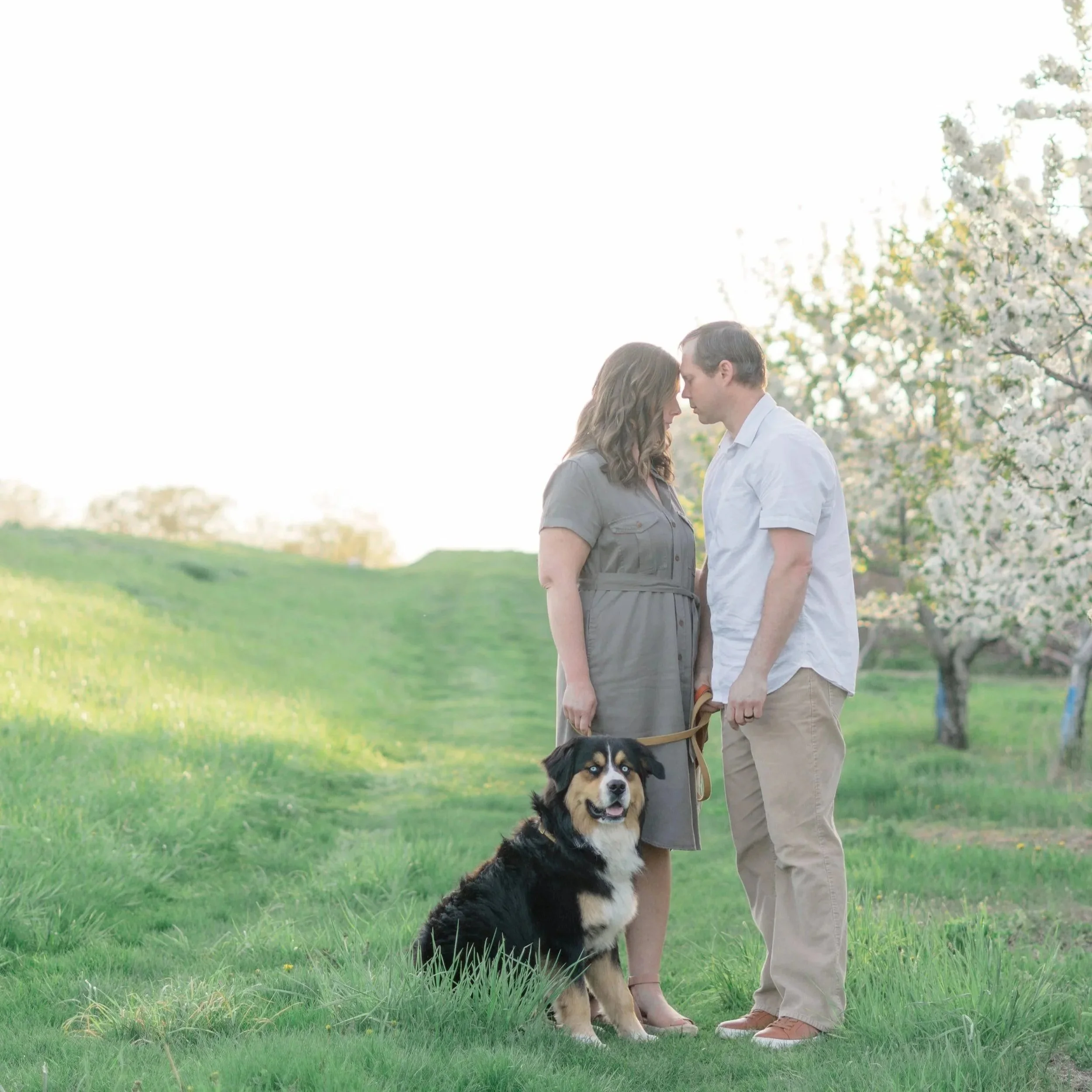 Family enjoyihg a cherry blossom spring photo session with their dog. 