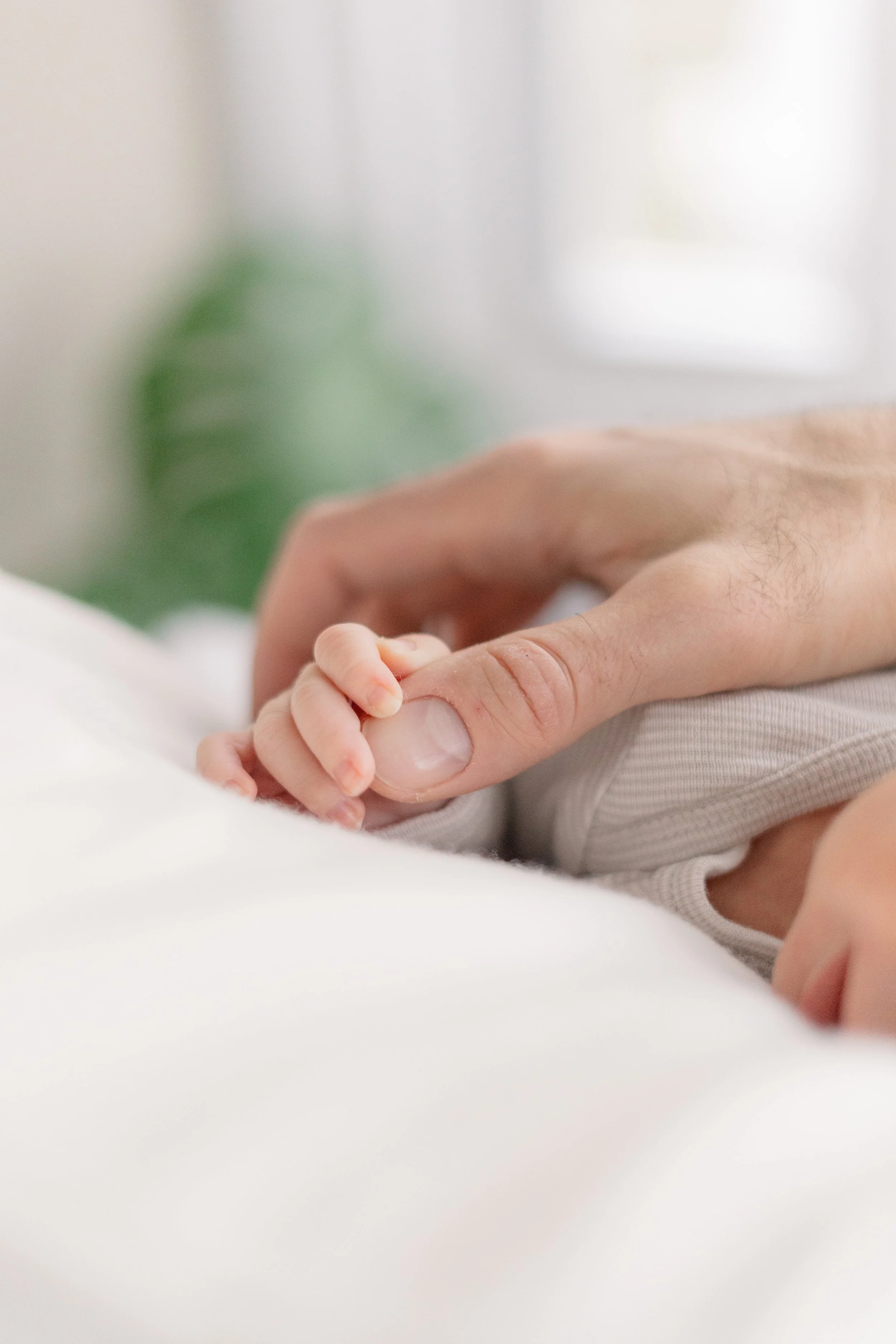 Picture of a newborn clutching the fathers hand in a in-door newborn session.