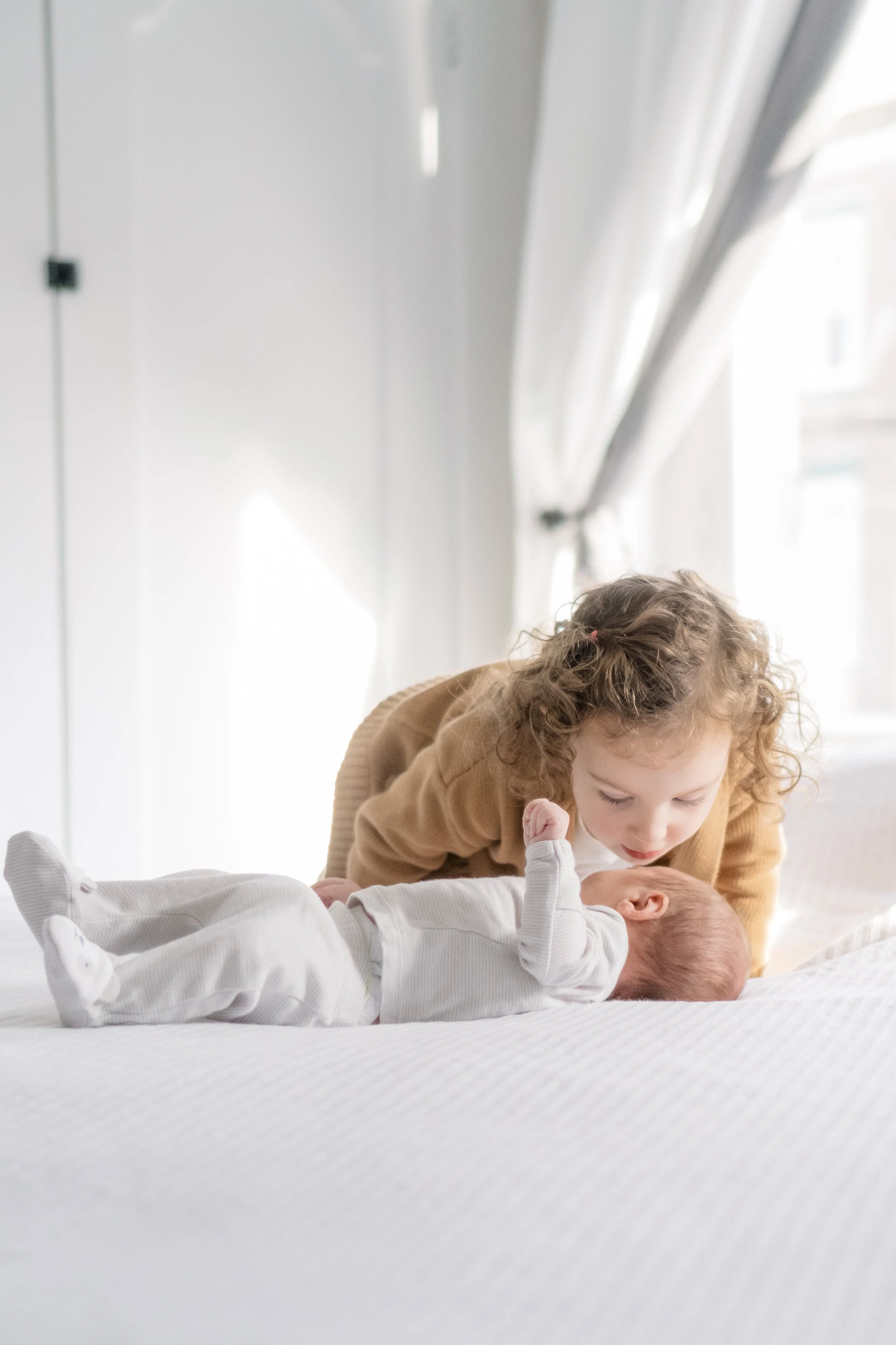 A toddler loving their new baby brother at an in-door newborn session in Philadelphia. 