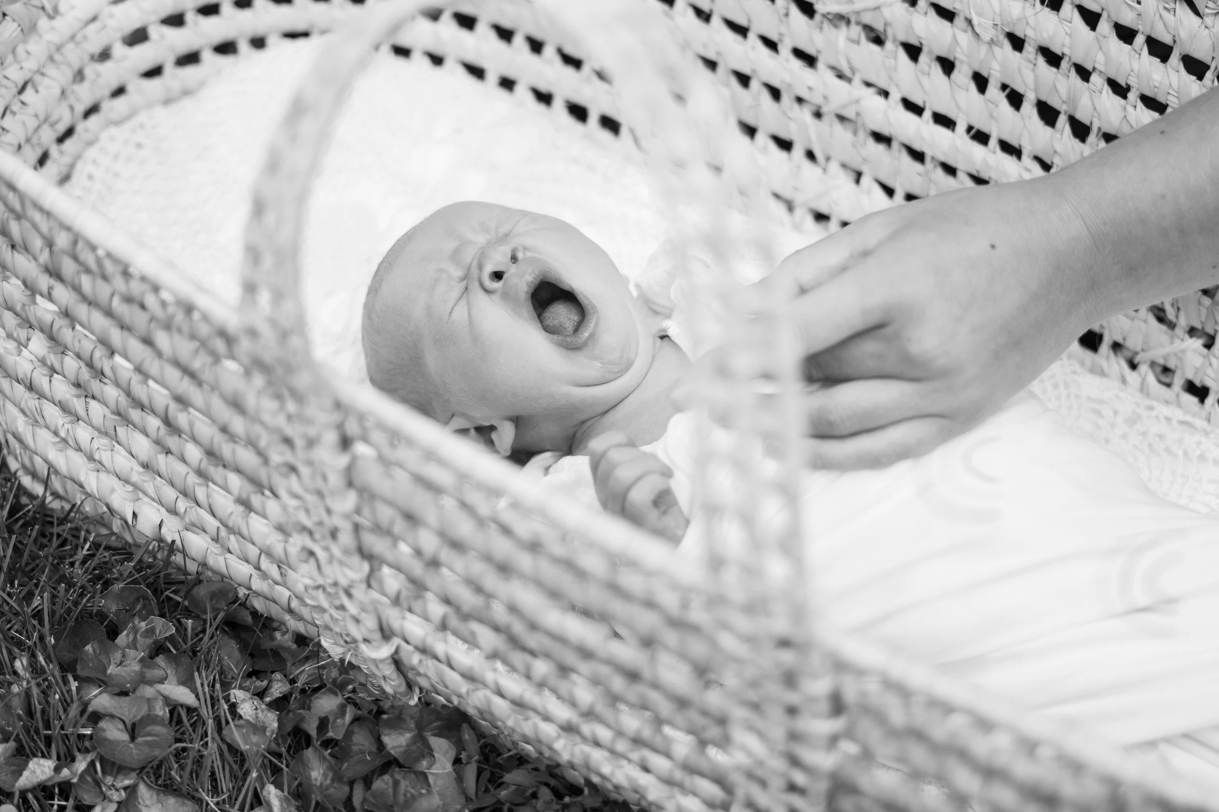 A classic photo of a baby yawning in a woven basket at an outdoor newborn session.