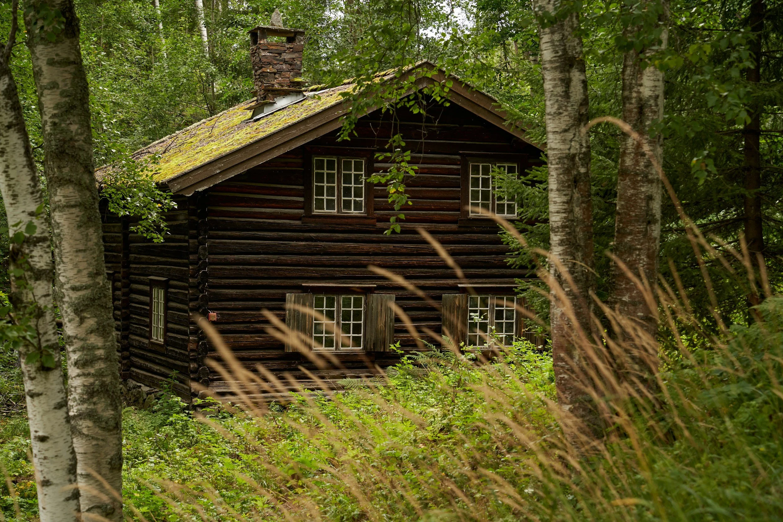 Tømmerhus omgitt av trær og høyt gress.