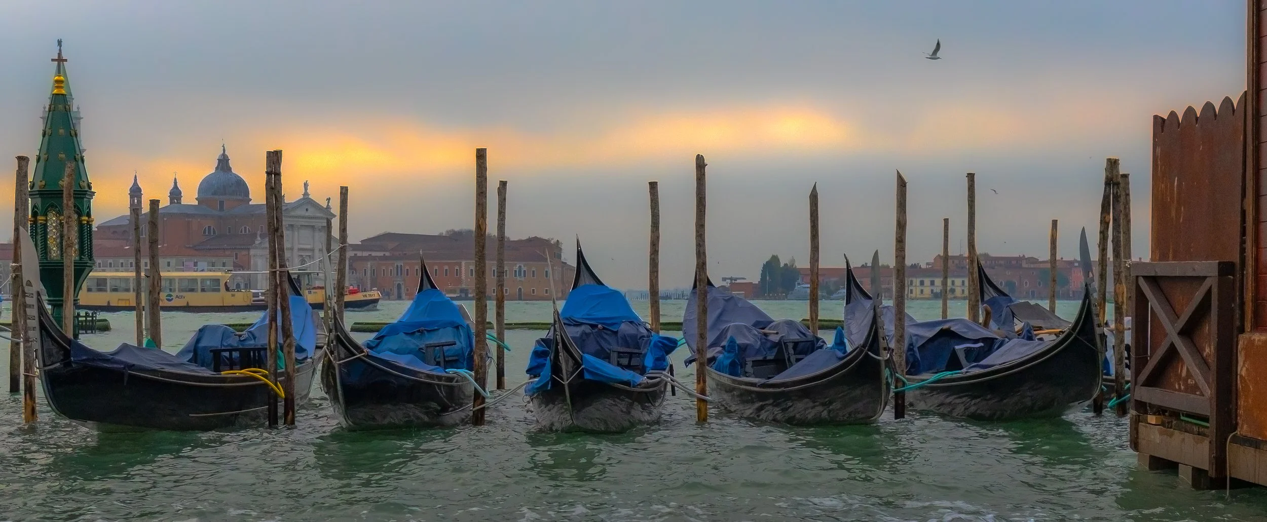 Gondolas moored along a canal in Venice, Italy, with historic buildings and a church dome in the background during sunset, and a flying seagull in the sky.