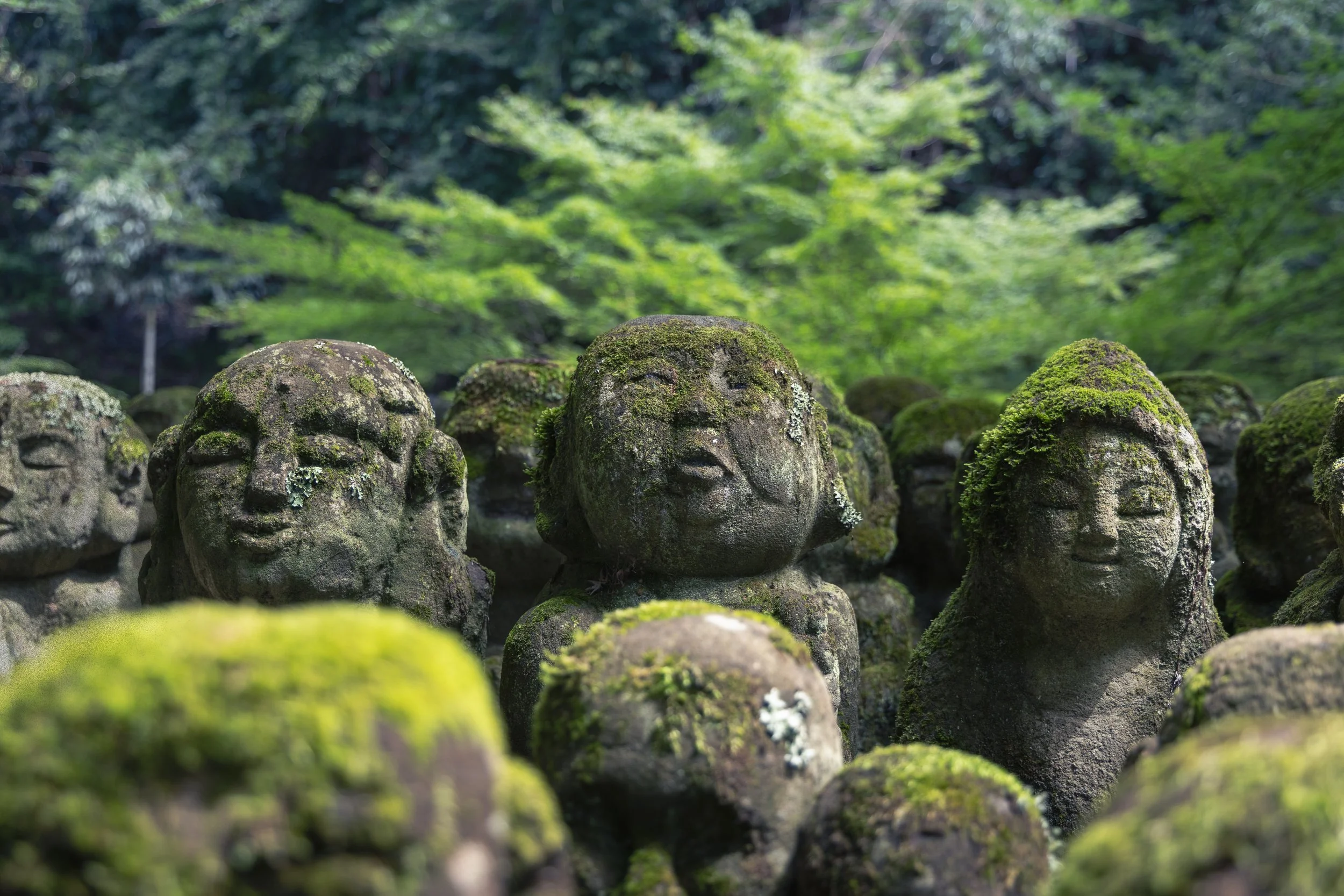 Moss-covered stone sculptures of human faces in a lush, green forest.