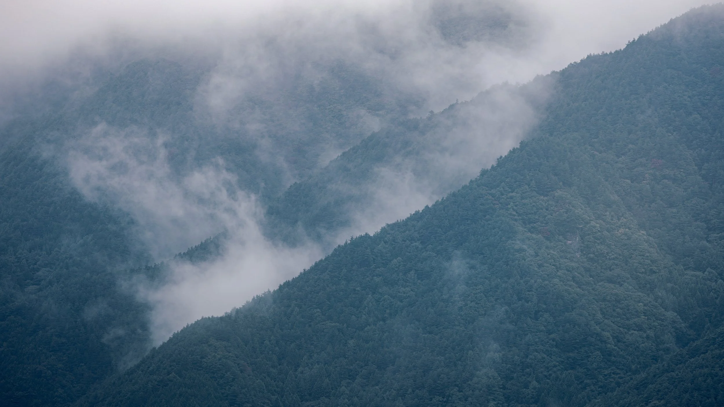 Mountain range covered in dense forest with clouds and mist surrounding the peaks.