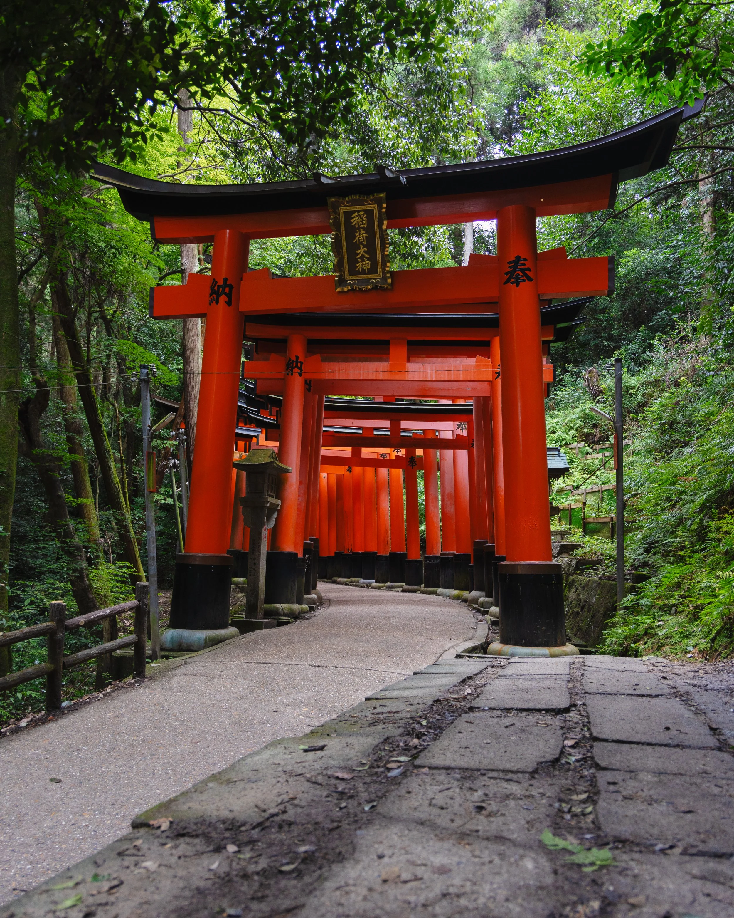 A series of red torii gates forming a pathway through a lush green forest.