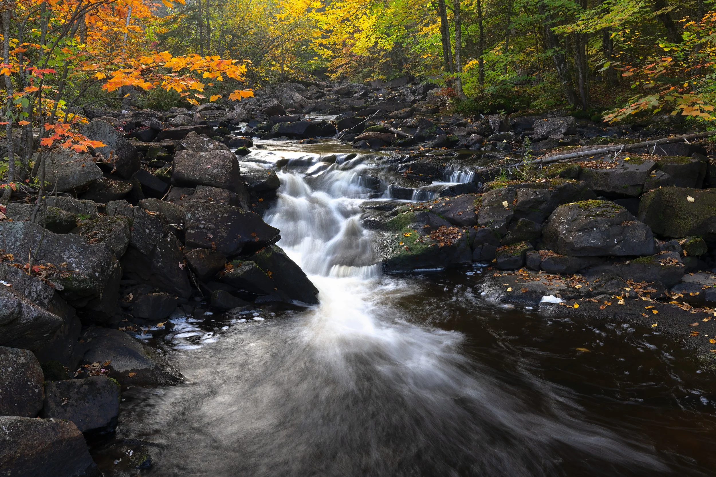 A flowing creek surrounded by rocks and vibrant autumn trees with green, yellow, and orange leaves.
