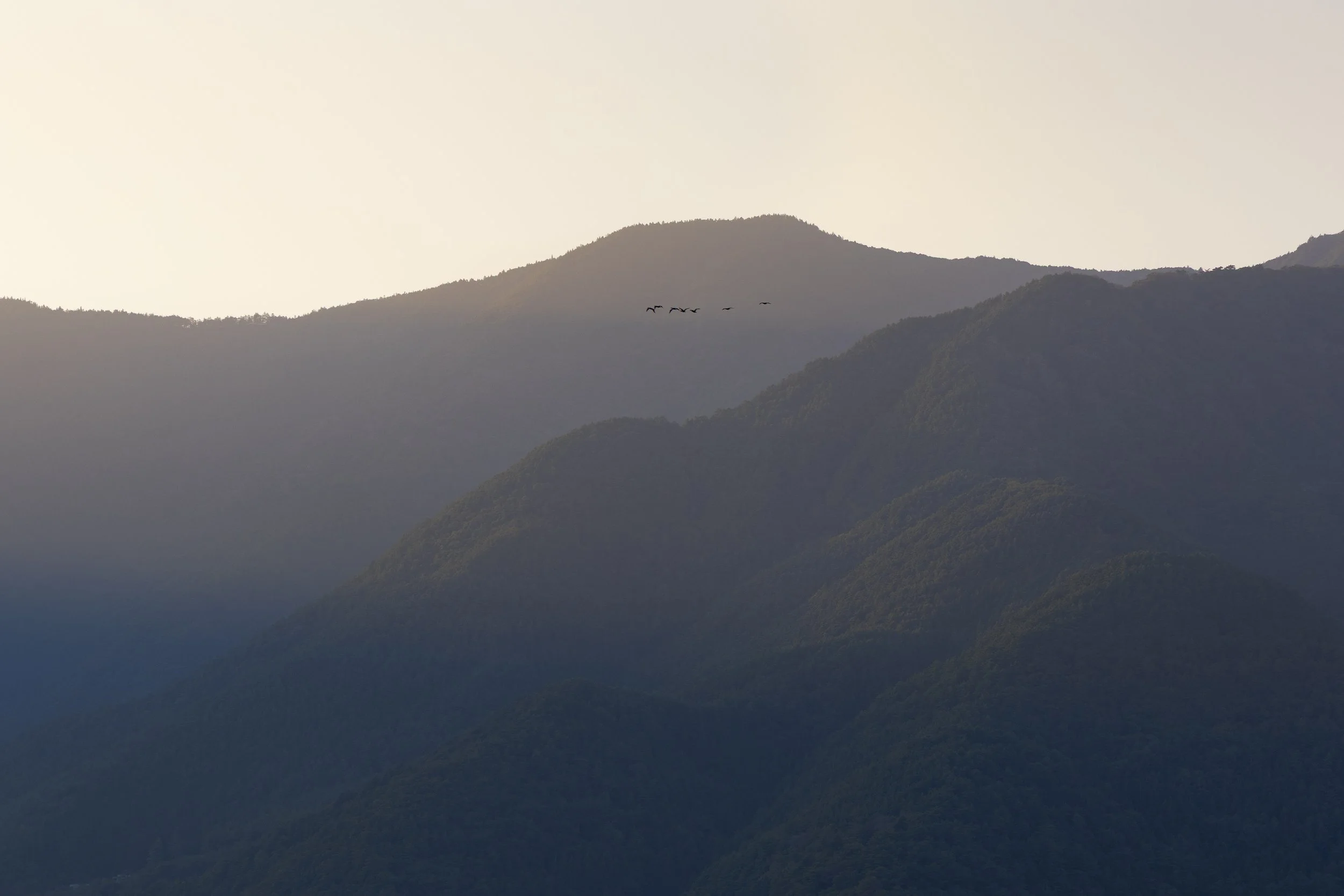 Mountain range at sunset with a flock of birds flying in the sky.
