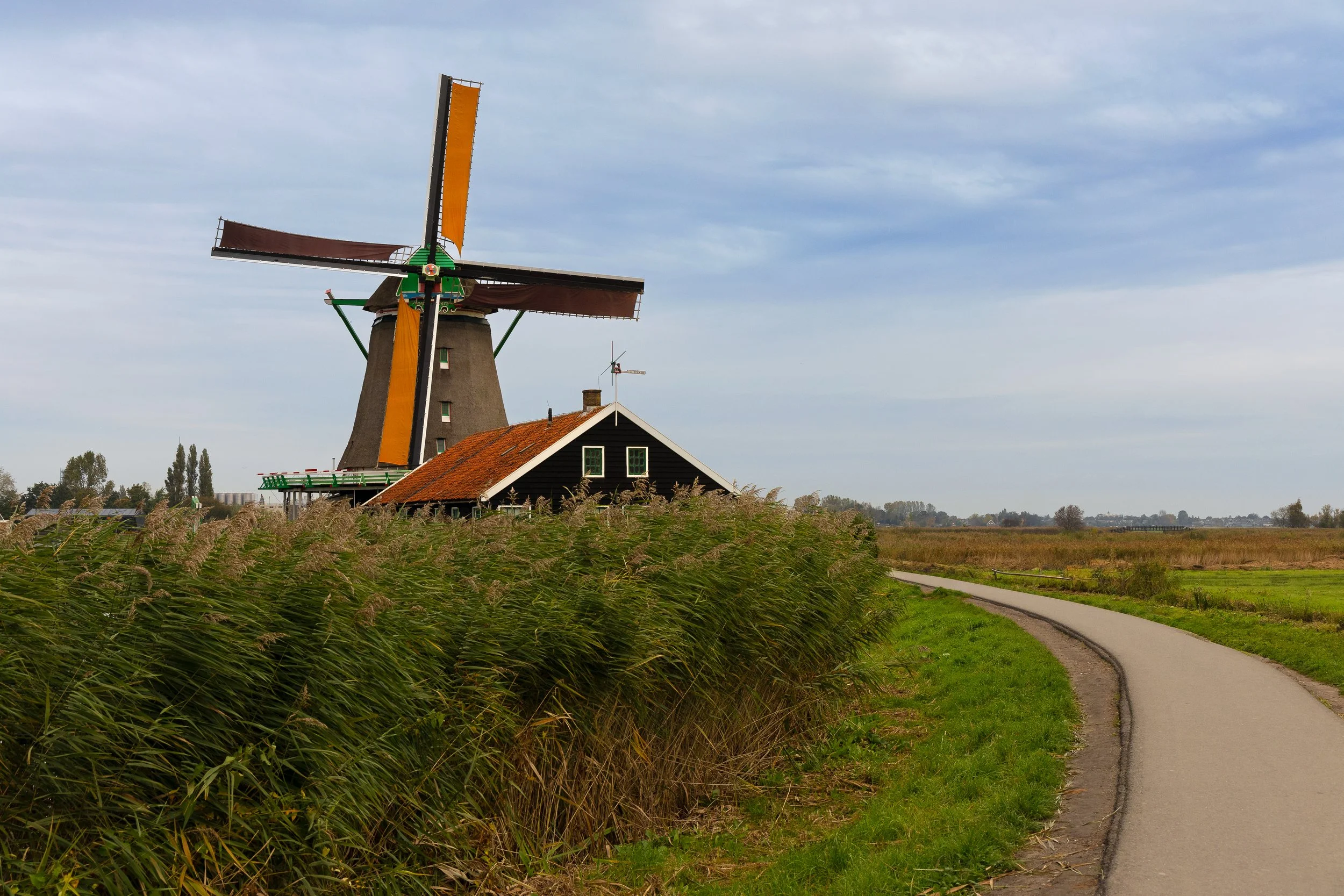 A Dutch-style windmill with orange and brown blades near a small black house with a red roof, surrounded by tall grassy plants and a winding road under a cloudy sky.