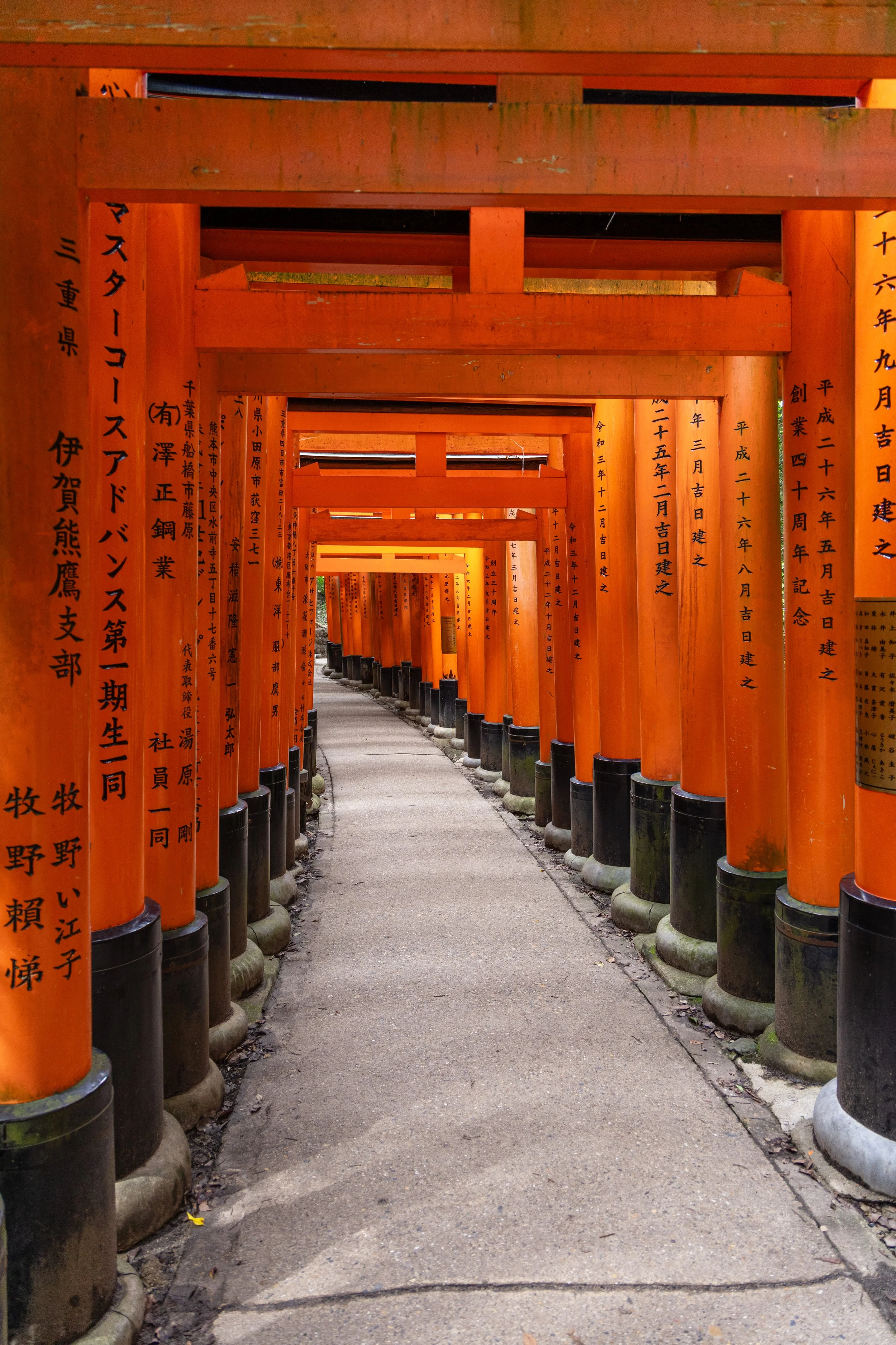 Series of red torii gates at Fushimi Inari Shrine in Japan, with black bases and Japanese inscriptions on the sides.