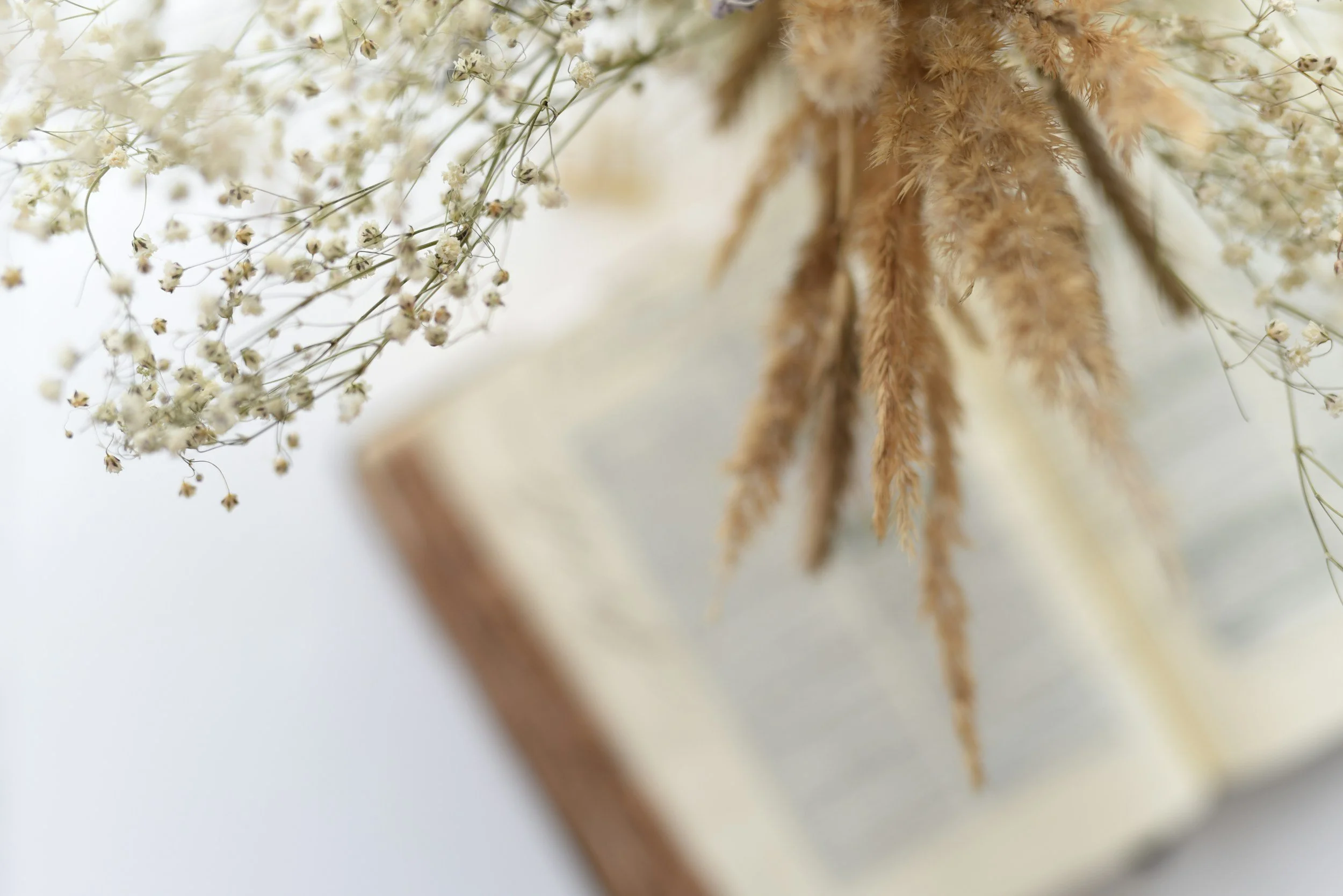 Close-up of dried flowers, including white baby's breath and beige pampas grass, in front of an open book.