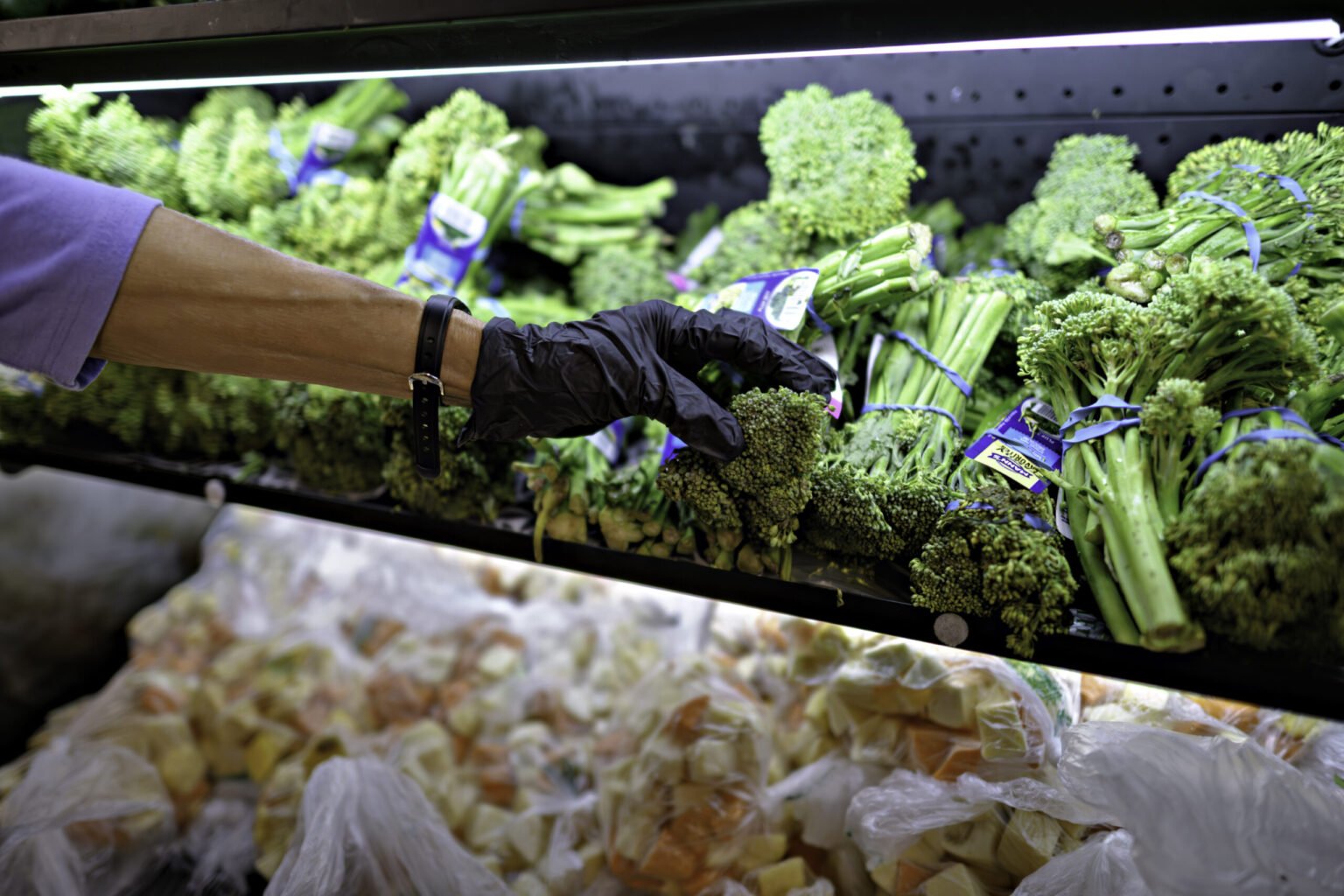 ‘Utah Allocates up to 4 Million for Food Banks Amid Government Shutdown’