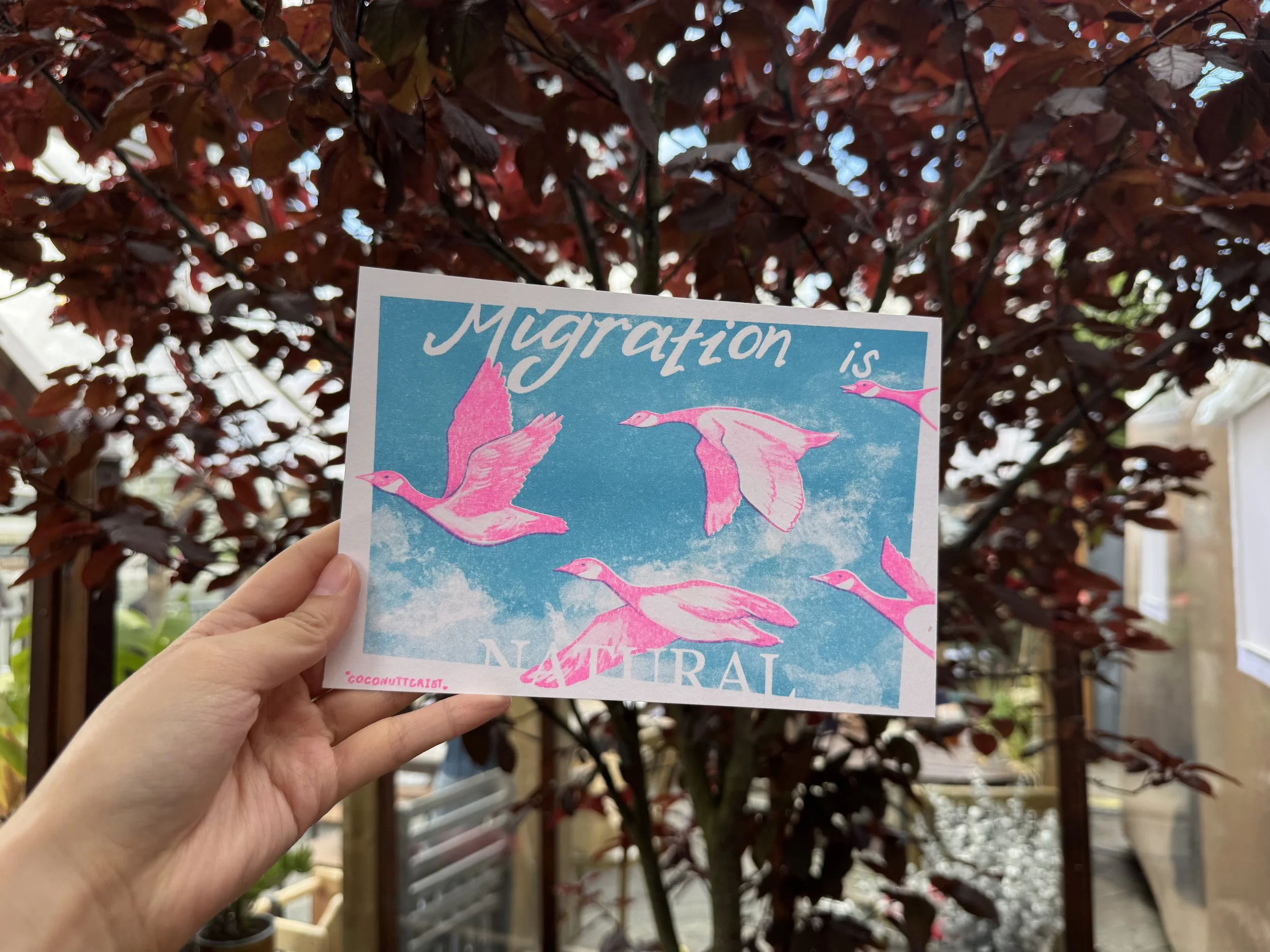 Migration is Natural Goose Risograph print