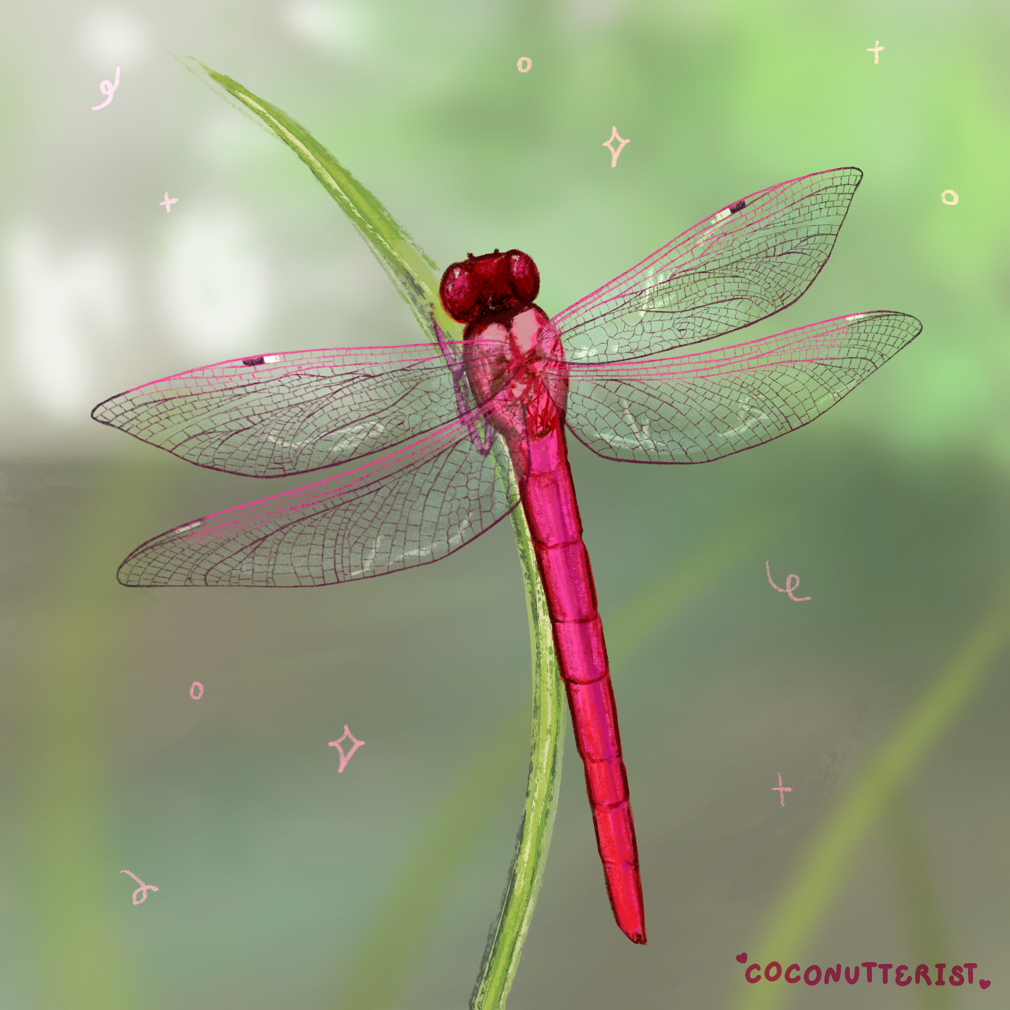 IMG_0490 2.PNG