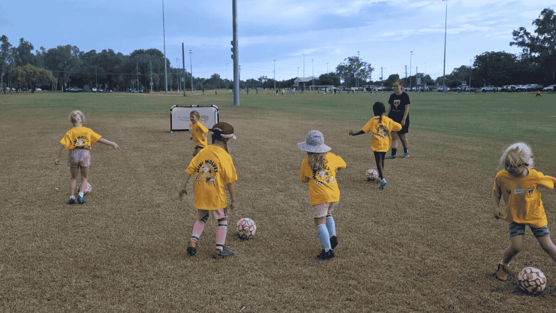 Young children playing soccer on a field under cloudy sky, wearing yellow shirts with 'Wolf Pack' logo and practicing with soccer balls, supervised by an adult.