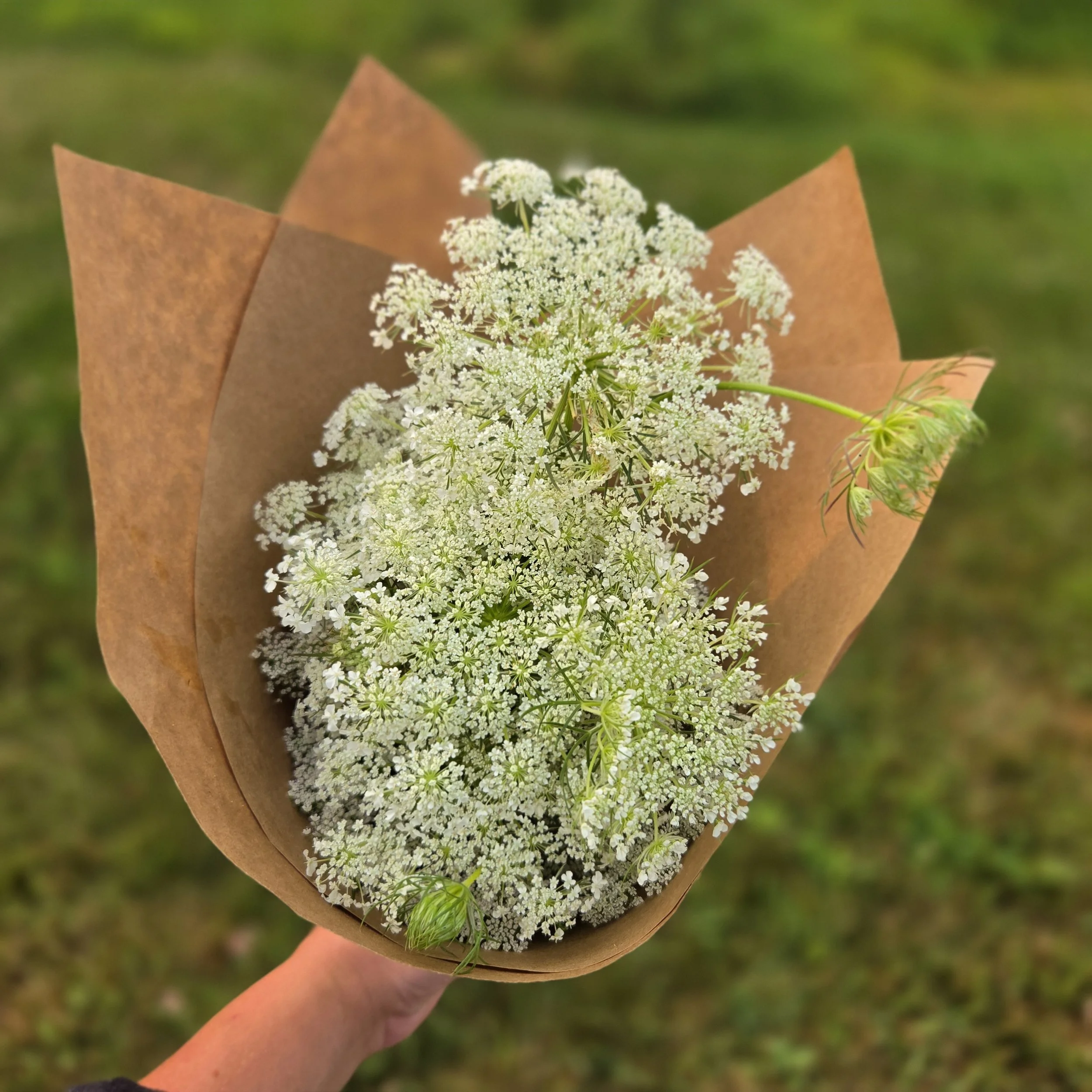 Flower Bunch (Single Flower Variety) - Pay with CC