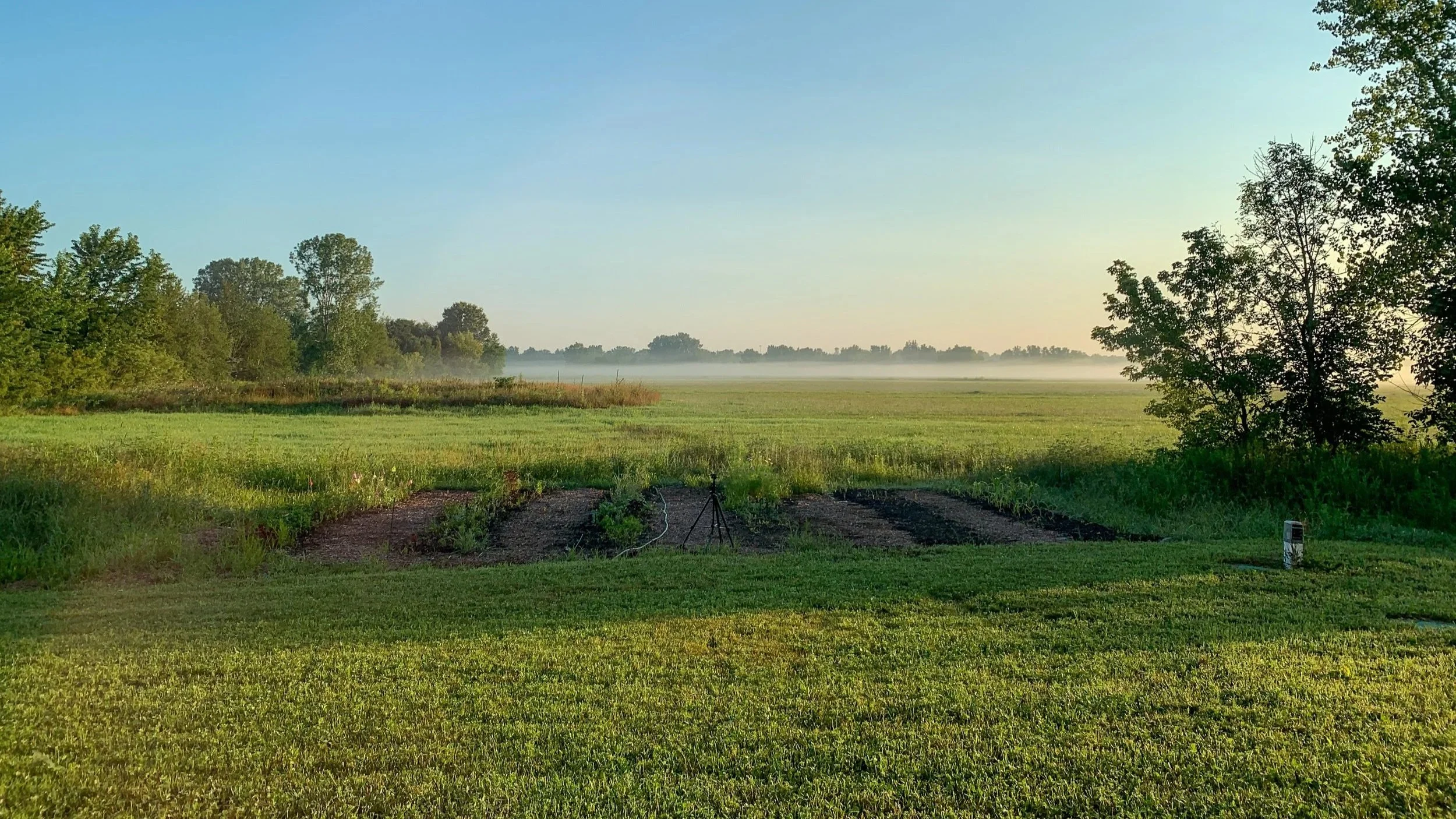 Morning view of a farm field with green grass, small garden plots, and trees on the horizon under a clear sky with mist in the distance.