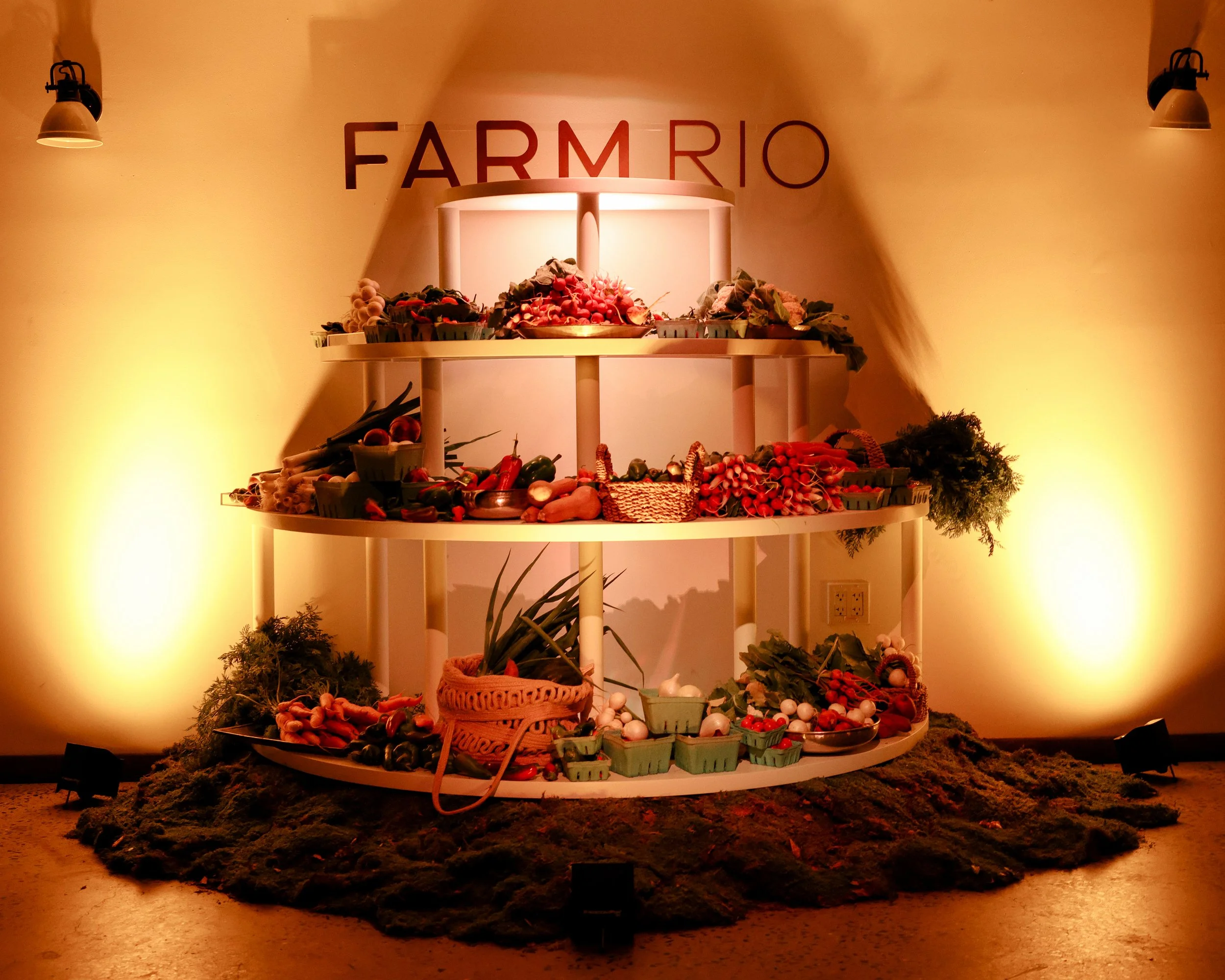 BFA_47321_6727695 (2).jpg