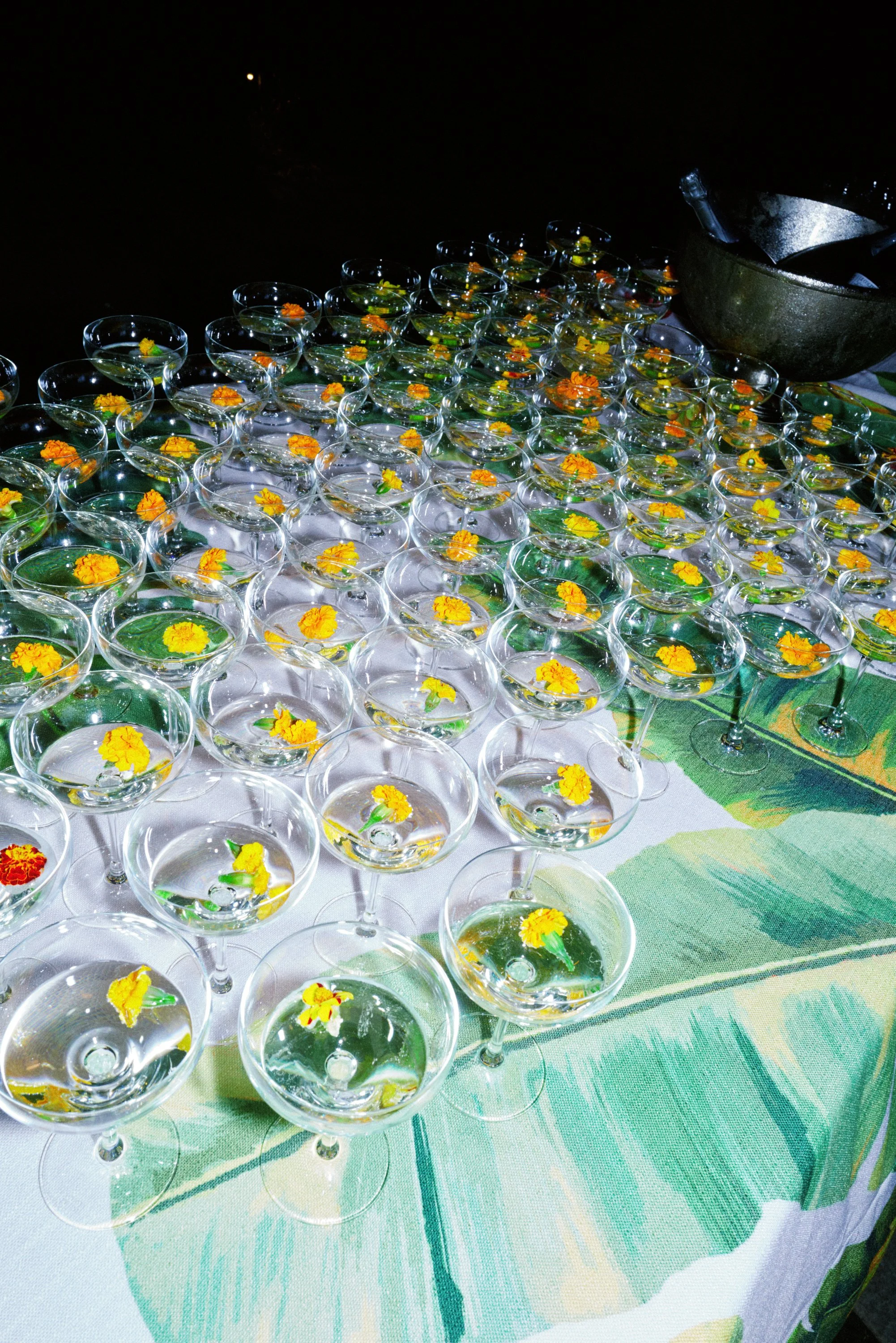 Kate-Owen_Farm-Rio_0051 (1).jpg