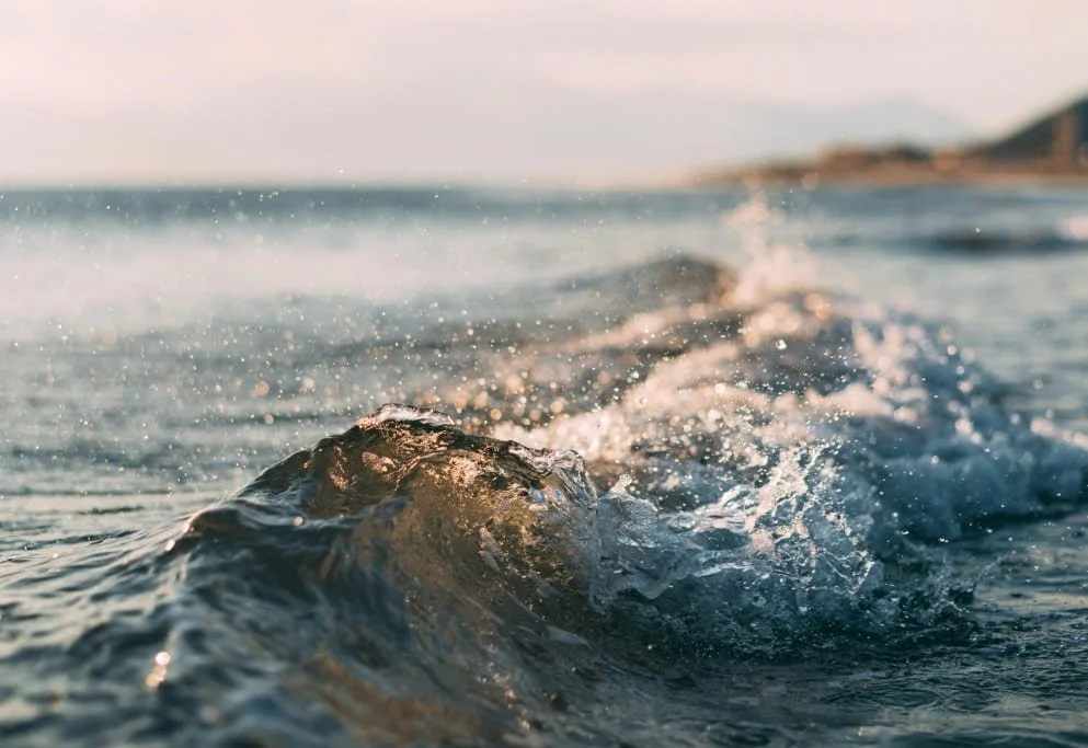 A small ocean wave breaking towards the beach.