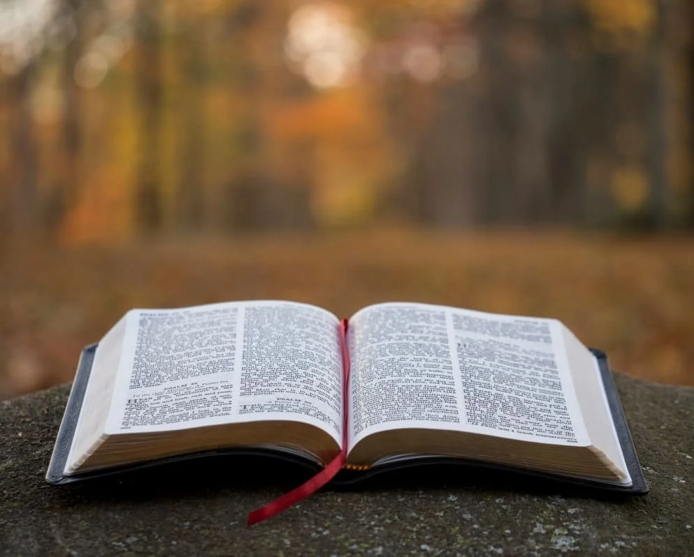 An open Bible resting on a grey concrete platform in the midst of blurred trees and what looks like fallen leaves in autumn.