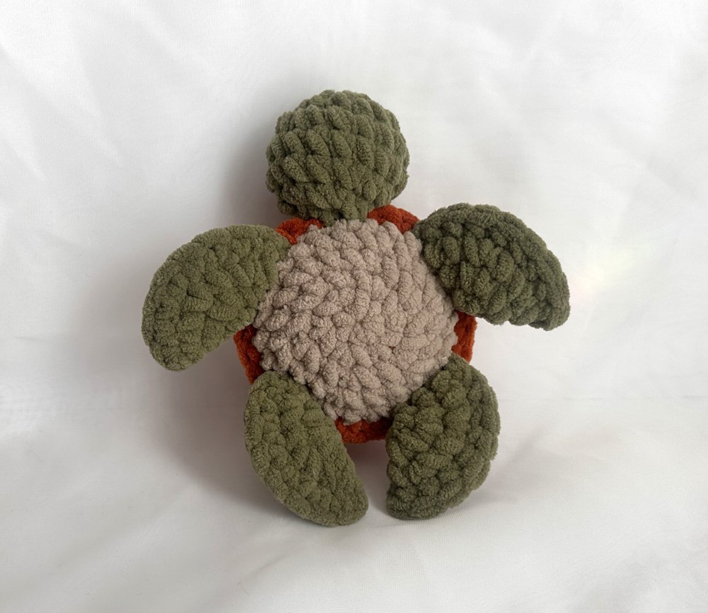 turtle-3.jpg