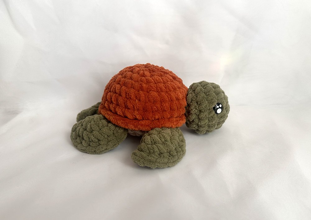 turtle-2.jpg