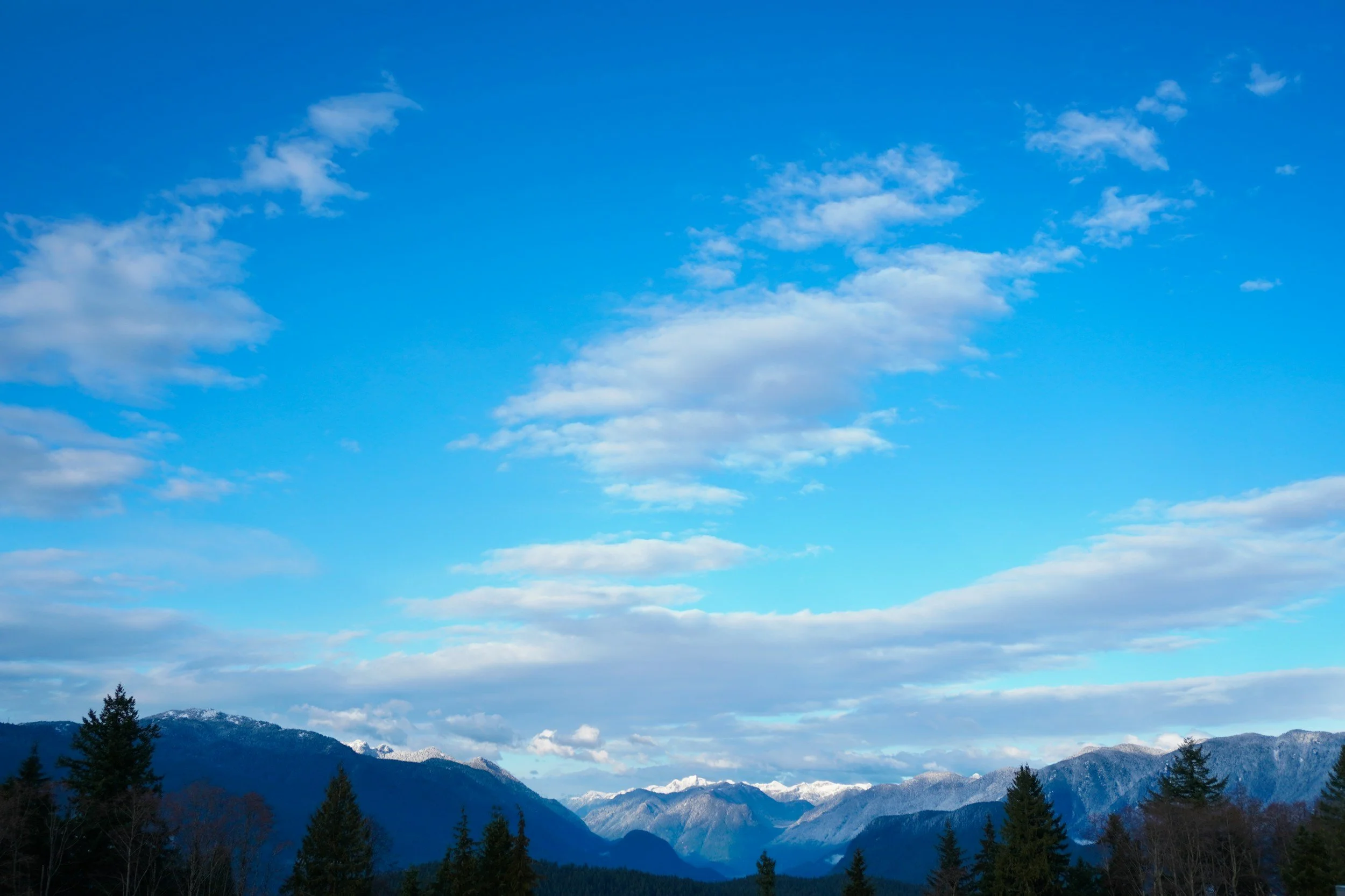 Scenic view of a mountain range with snow-capped peaks under a blue sky with scattered clouds and a forest in the foreground.