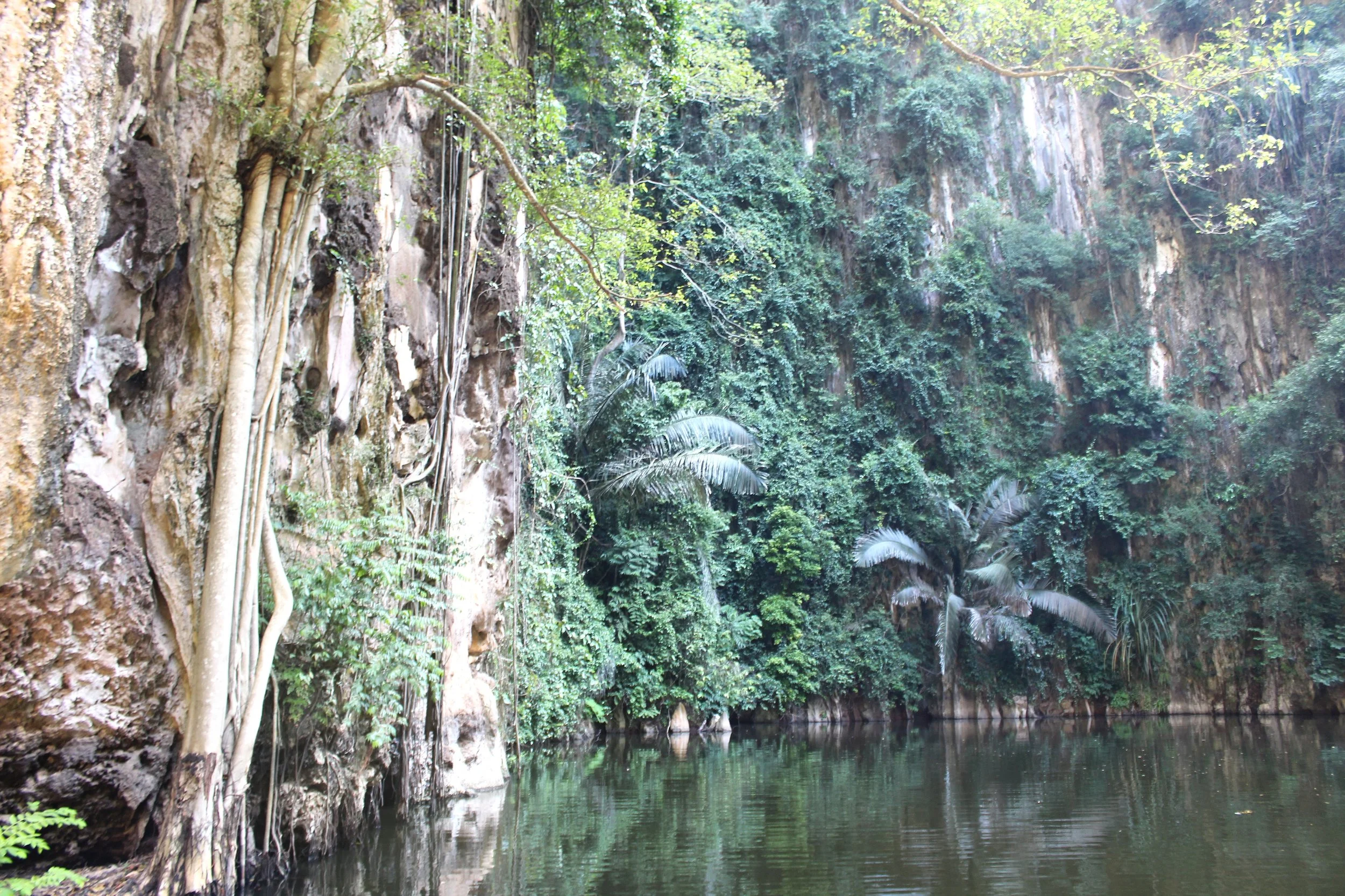 Tasik Cermin Lake (7).JPG