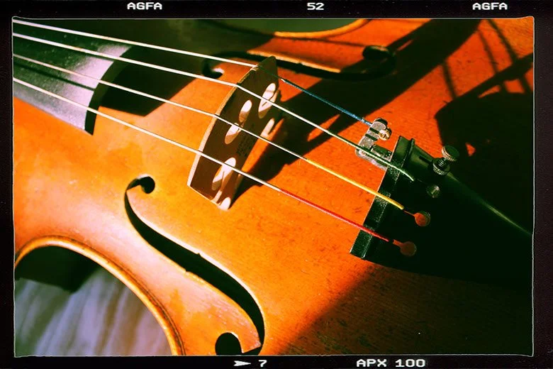 Digital Photography & Adobe Photoshop