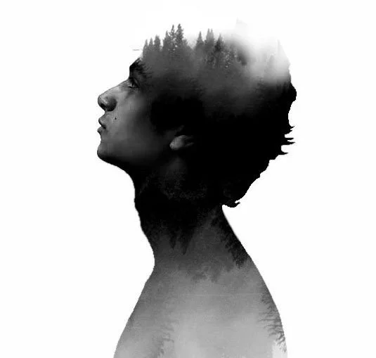 Digital Photography & Adobe Photoshop