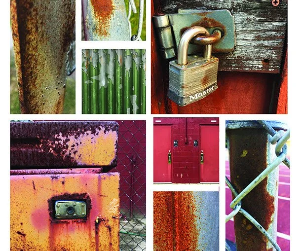 Digital Photography & Adobe Photoshop